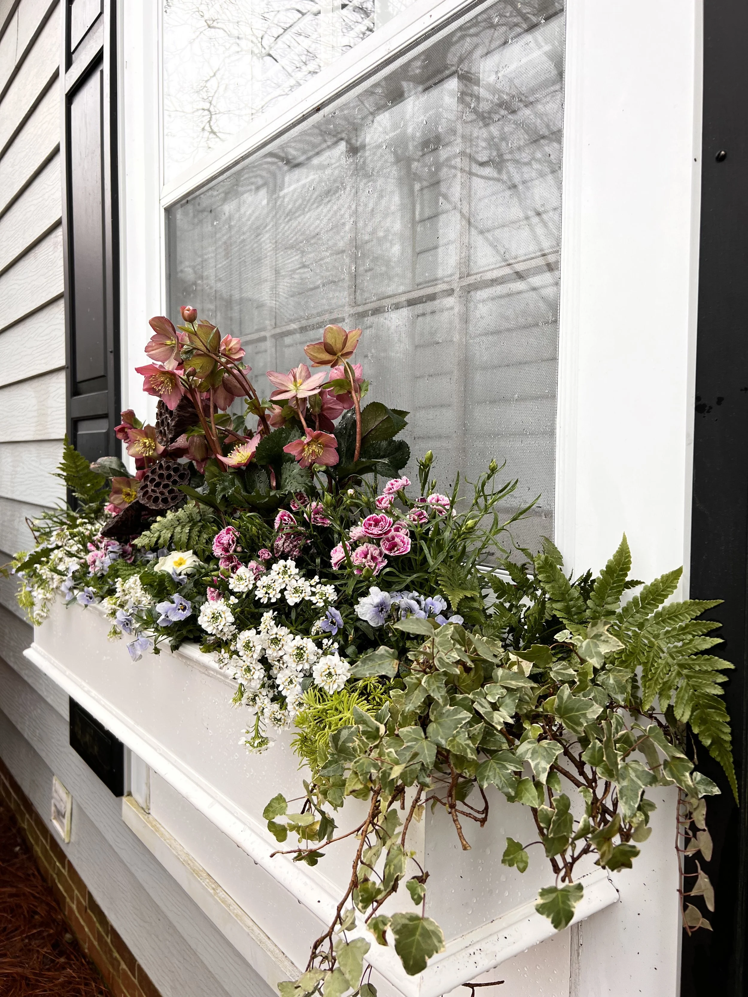 Rootedcontainerdesignwindowbox2.jpeg