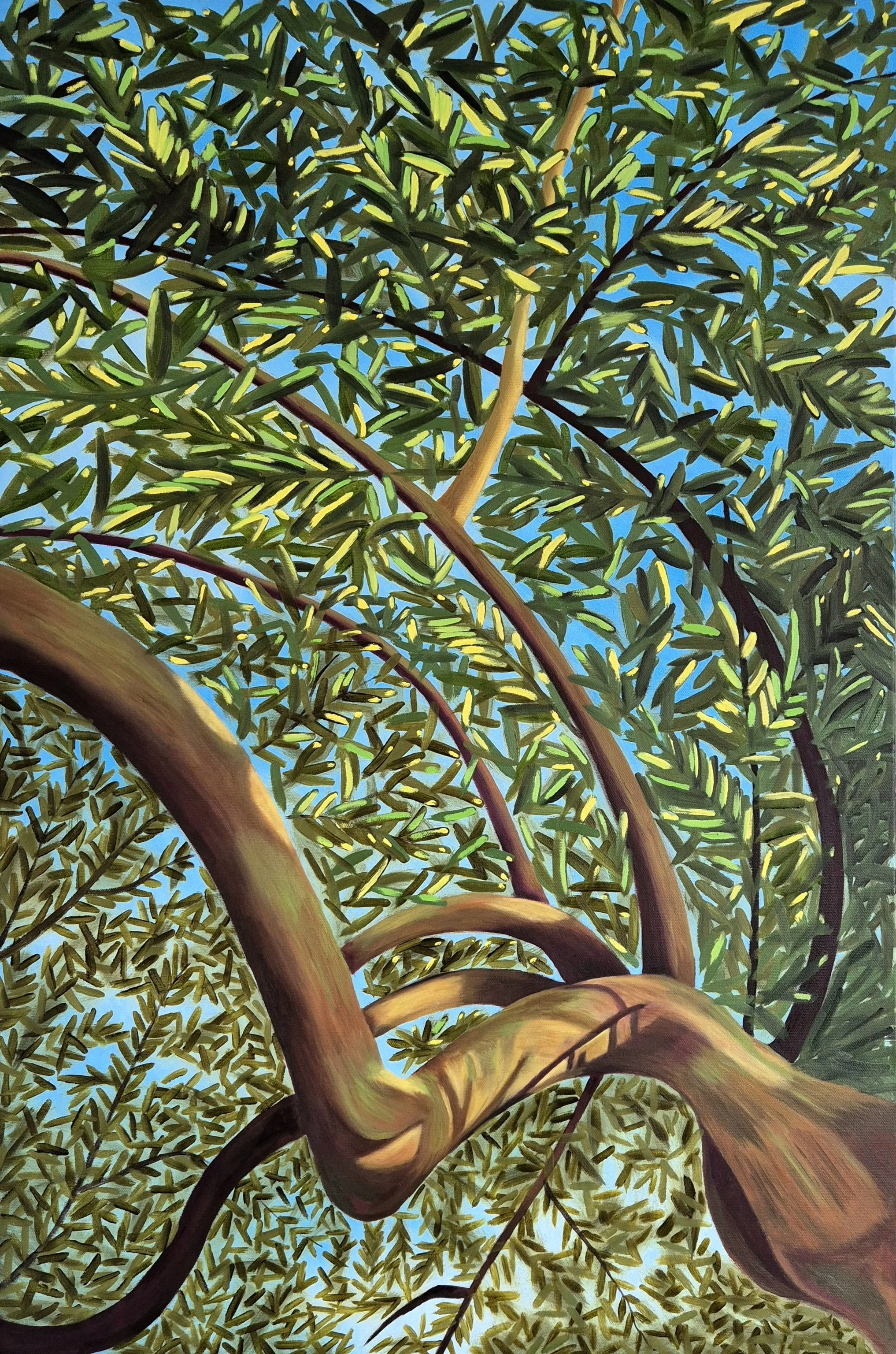 The Sky through Everything, 60cm x 90cm, oil on canvas.