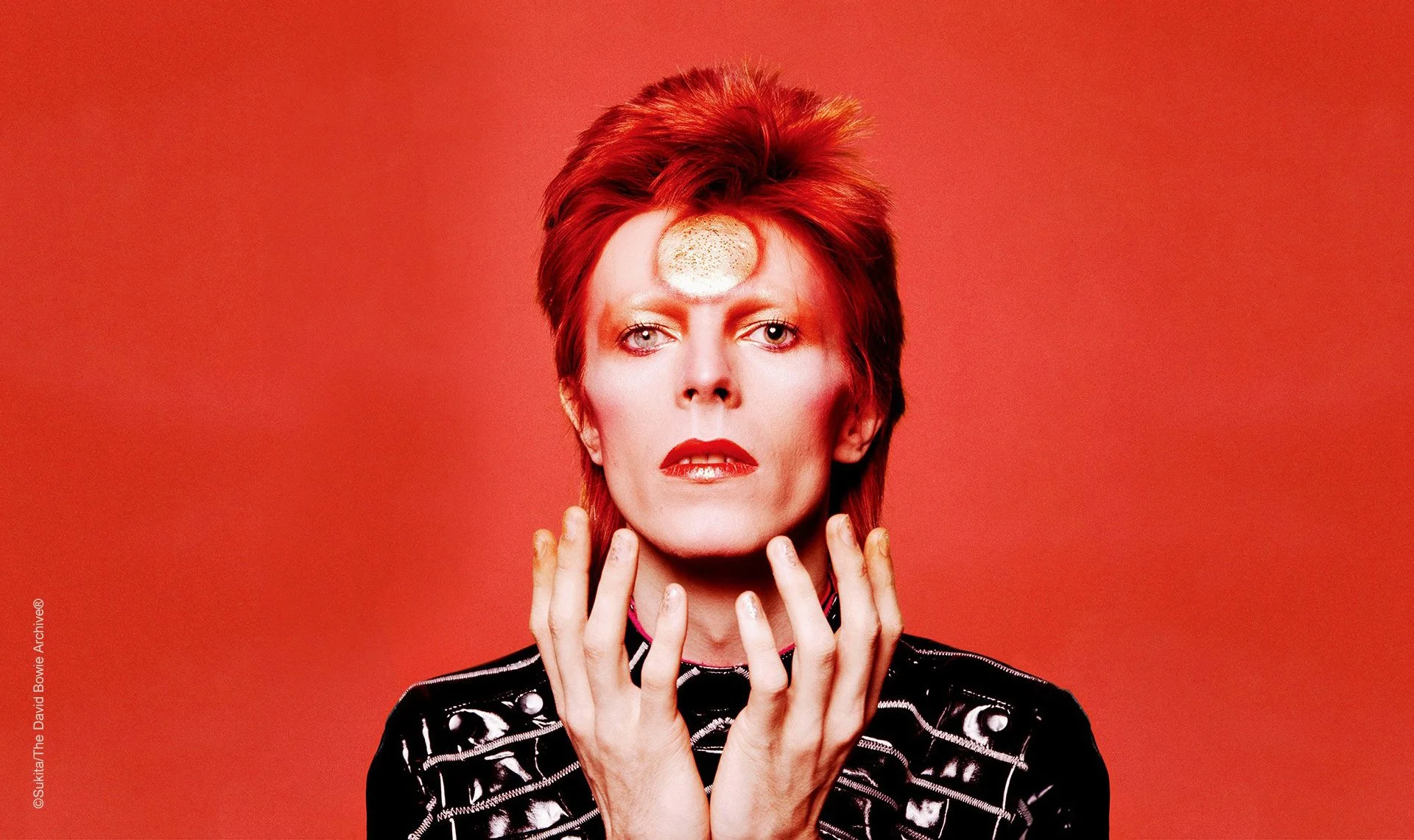 Ziggy Stardust and the Spiders from Mars