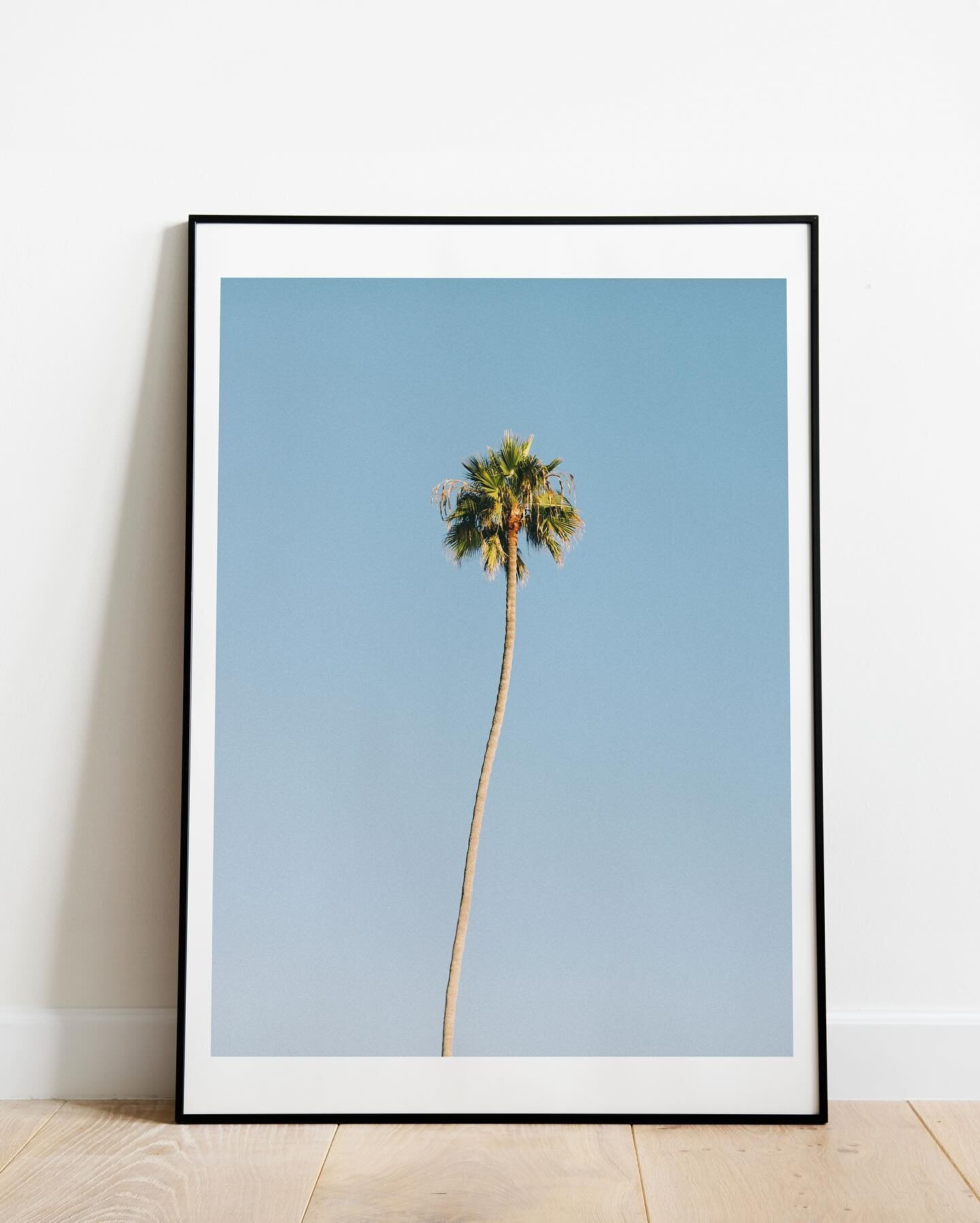 NEW PRINT DROP 🌞❤️🪩🪄🌭🌊🩷 Check out our new collection of photo and graphic prints! All are now available on den10studio.com 

Which one can you picture hanging in your space? Vote below!