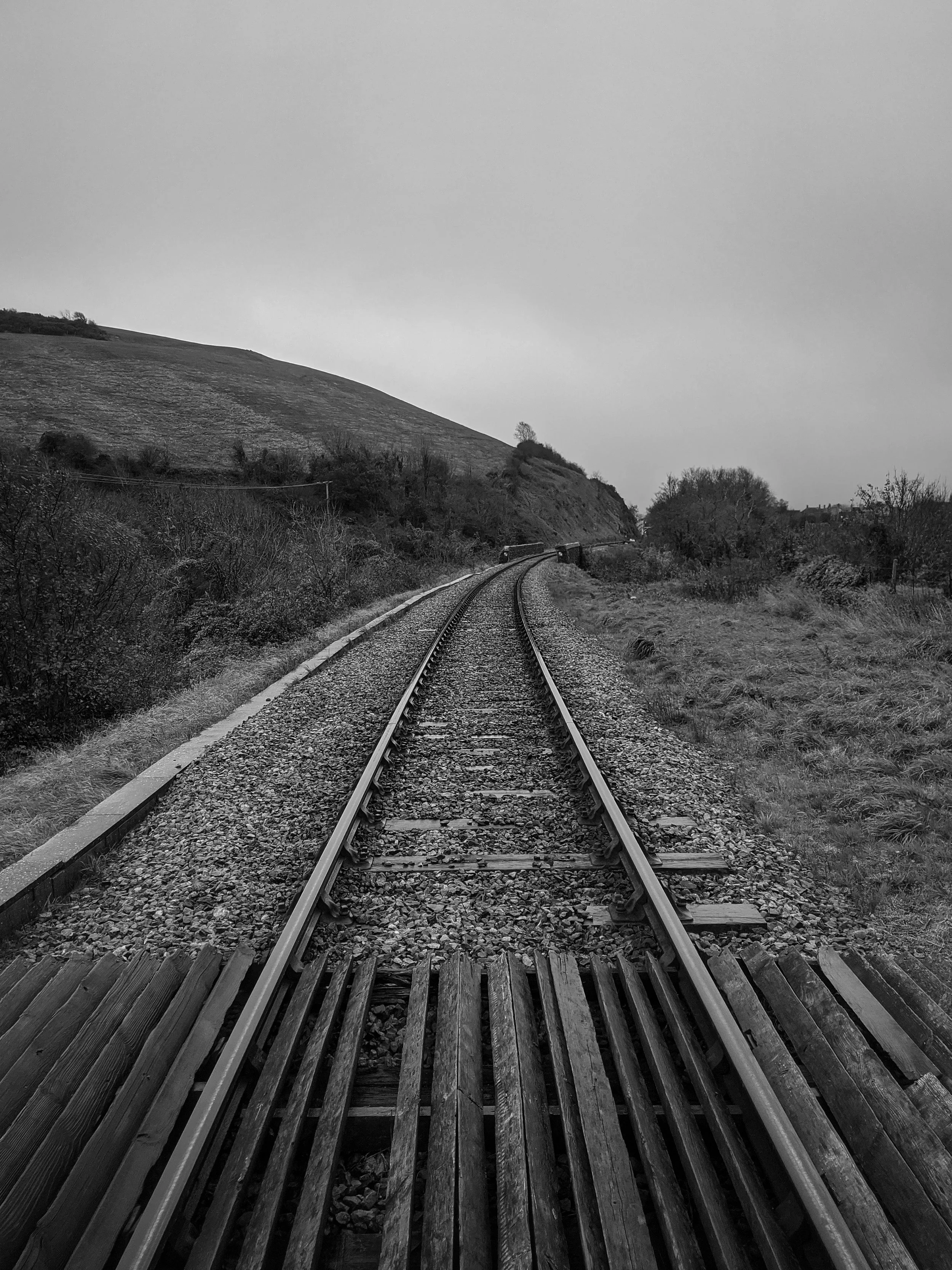IMG_20201101_144705-01.jpeg
