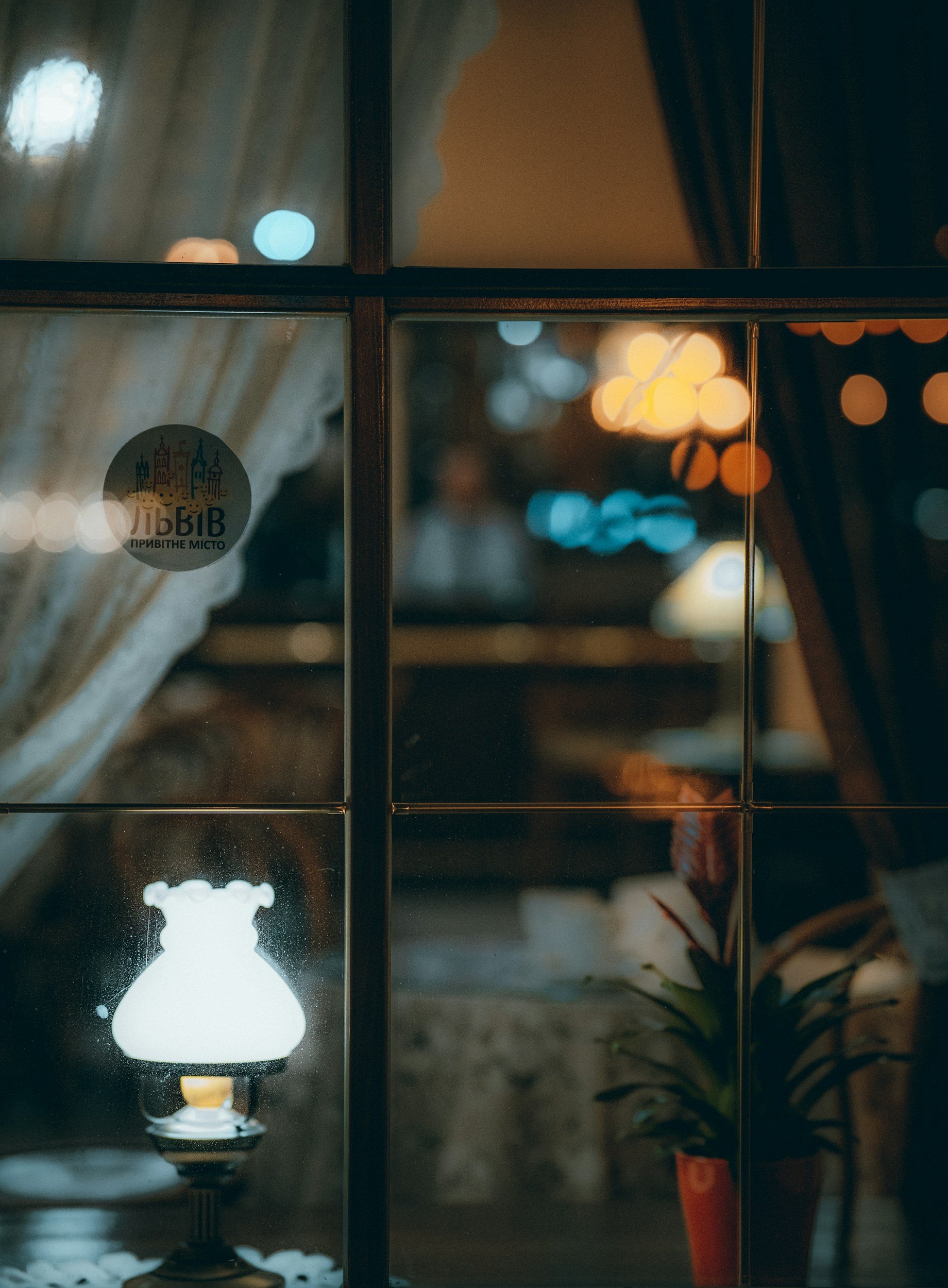 Conquering Cancer Q & A with Dr Hailey Brownstein FREE ZOOM Event !