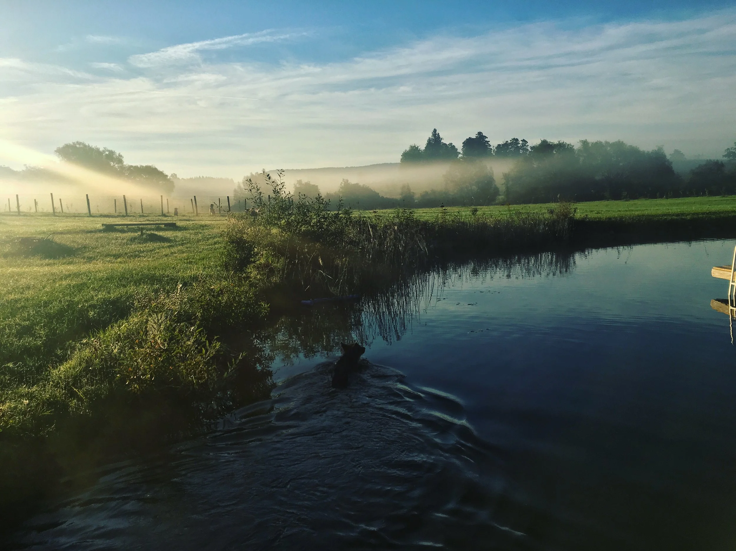 pond2.JPG