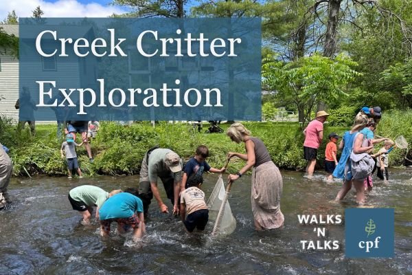 Creek Critter Exploration: Fun for Families AND Fishermen