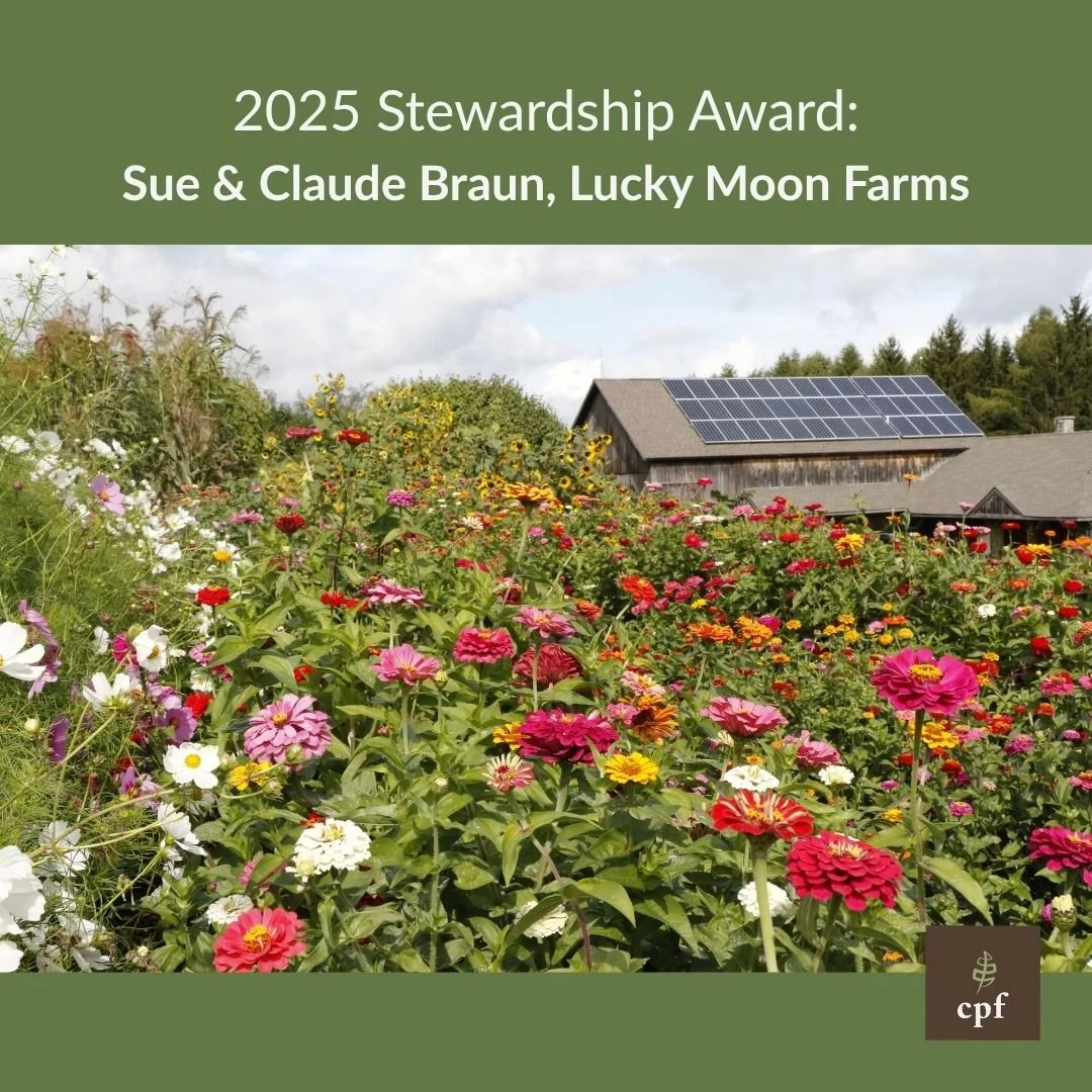 Lucky Moon Farm IG.jpg