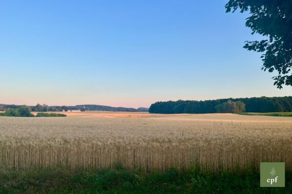 Land Trust 101: Types of Conservation Transactions
