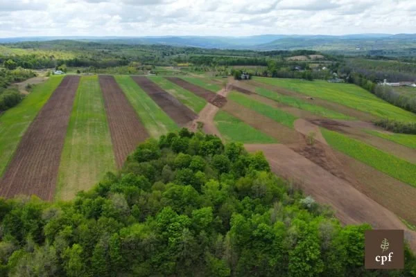 Overhead image of plowed and planted agricultural fields.
