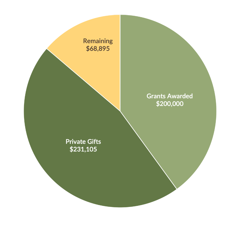 Pie chart with dark green, light green, and yellow wedges