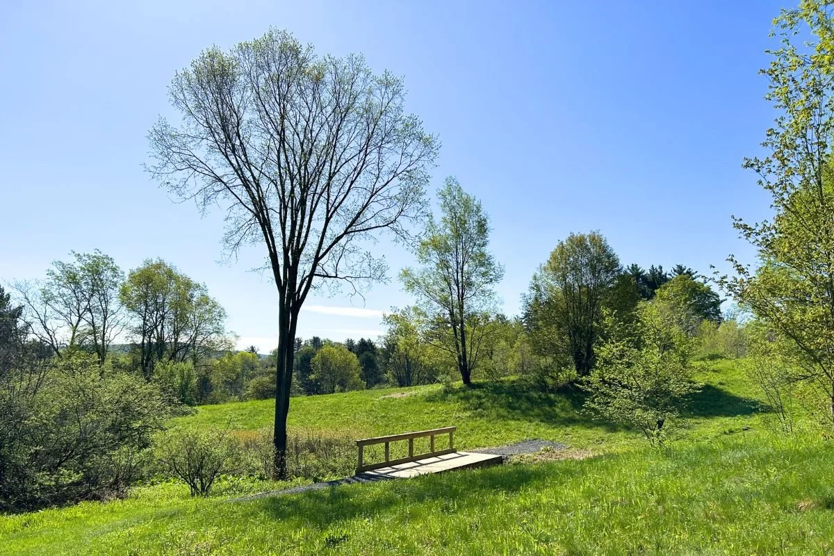 Spring hillside with wooden footbridge