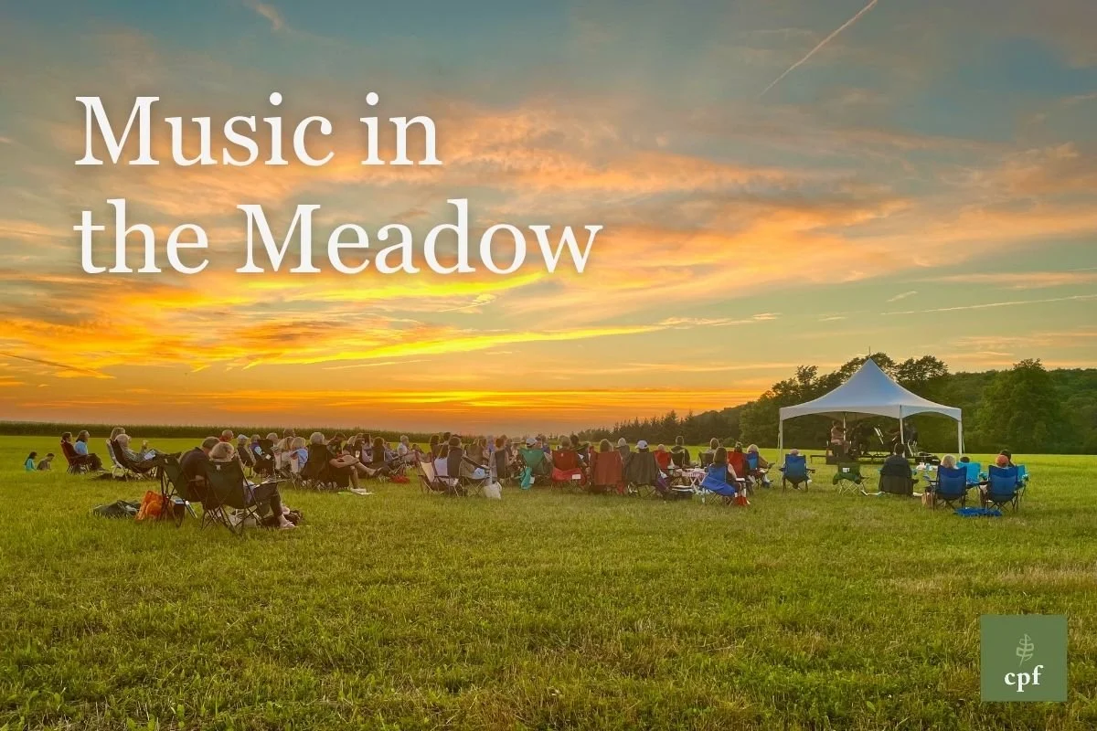 People sit in lawn chairs in large green meadow listening to a string quartet as the sunsets red, gold, and orange.