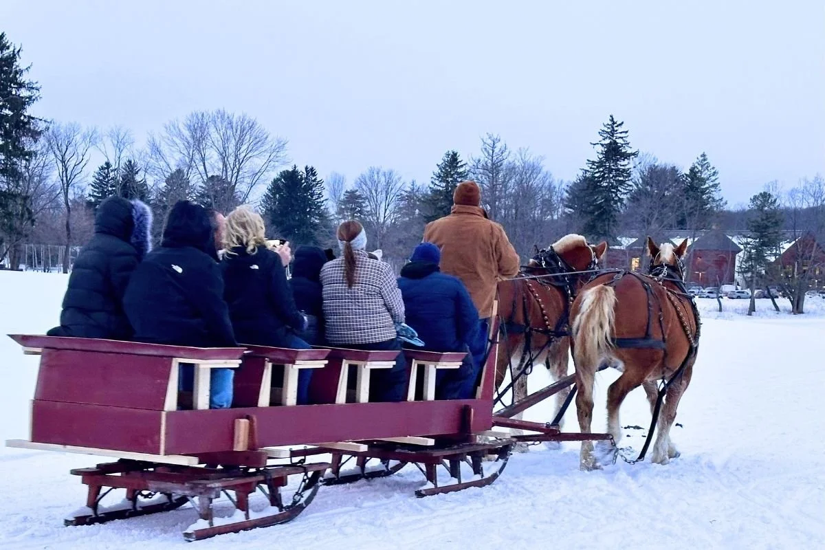 Red sleigh pulled by two horses