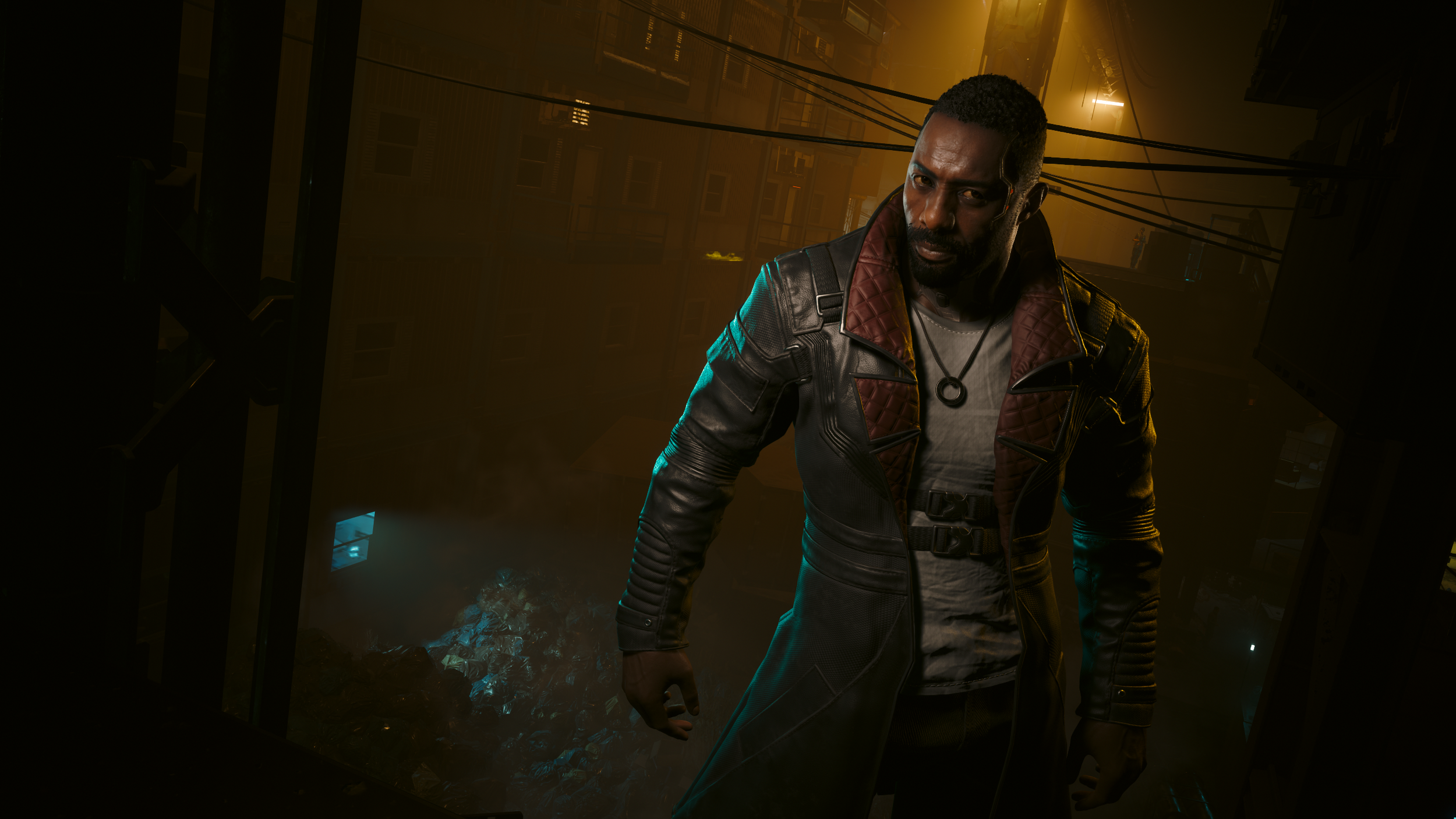 Cyberpunk 2077 Screenshot 2026.01.24 - 05.28.29.12.png