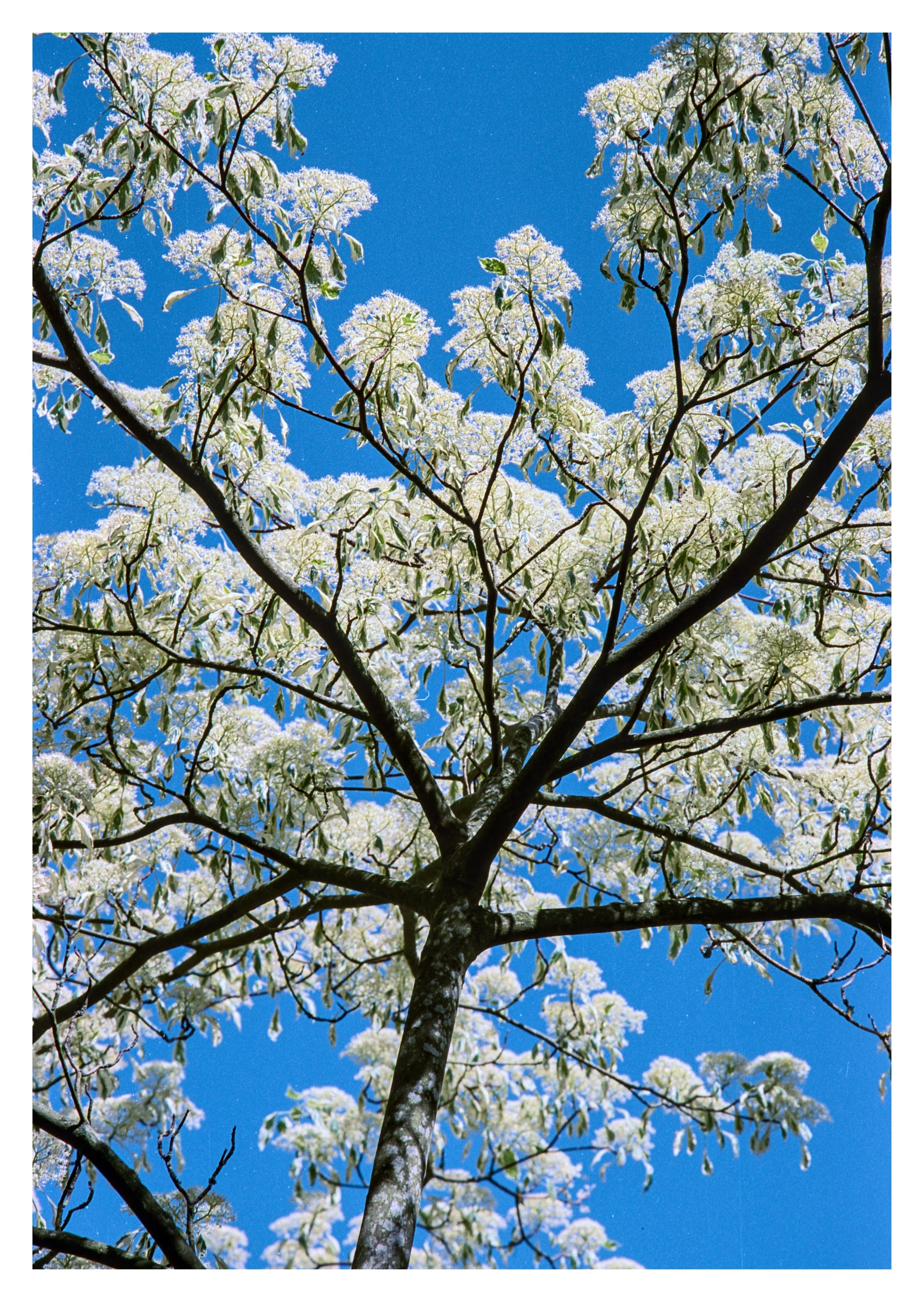 NEG_TEST_01 (55)_01.jpg