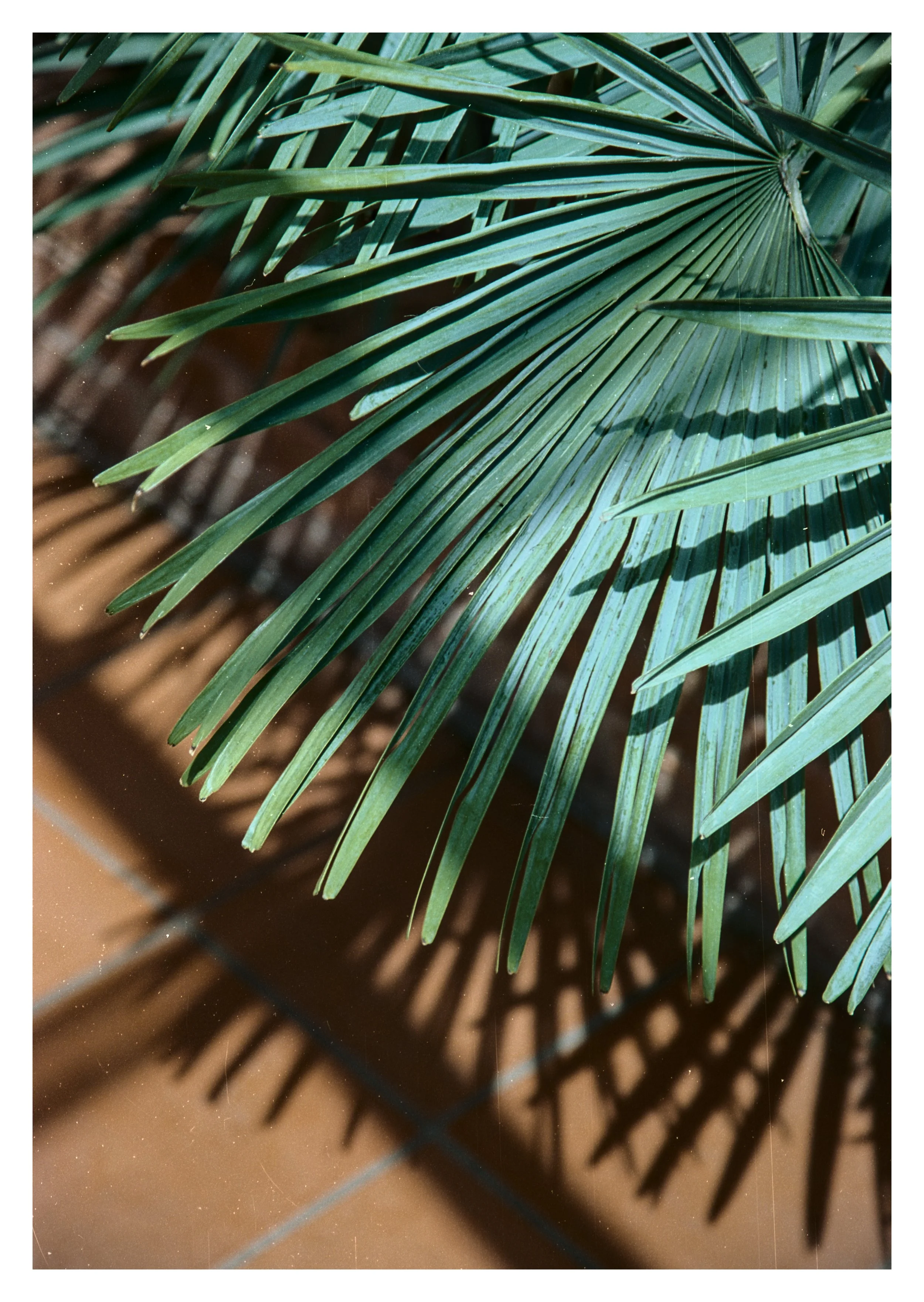 NEG_TEST_01 (54).jpg