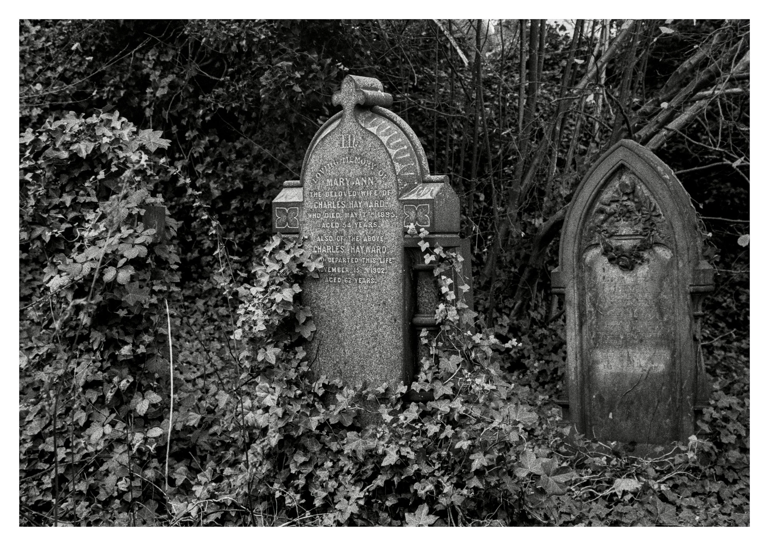 NEG_TEST_01 (67)PFL.jpg