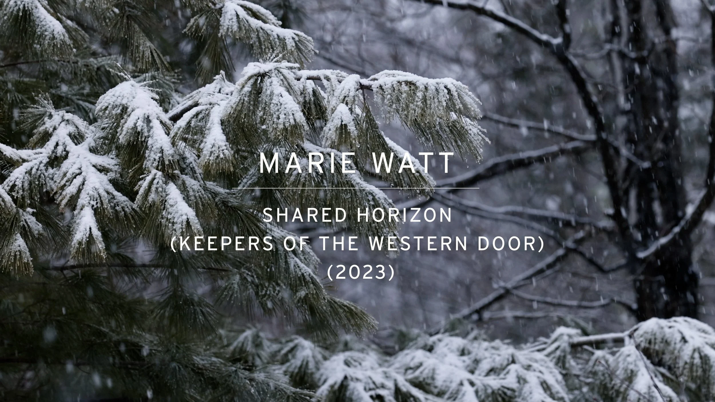 Marie-Watt-Western-Door-Install-Still-v2.4.00_00_02_10.Still003.jpg