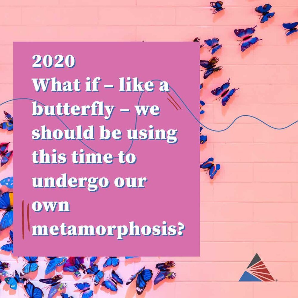 What if you're in a cocoon? Career lessons from butterflies.