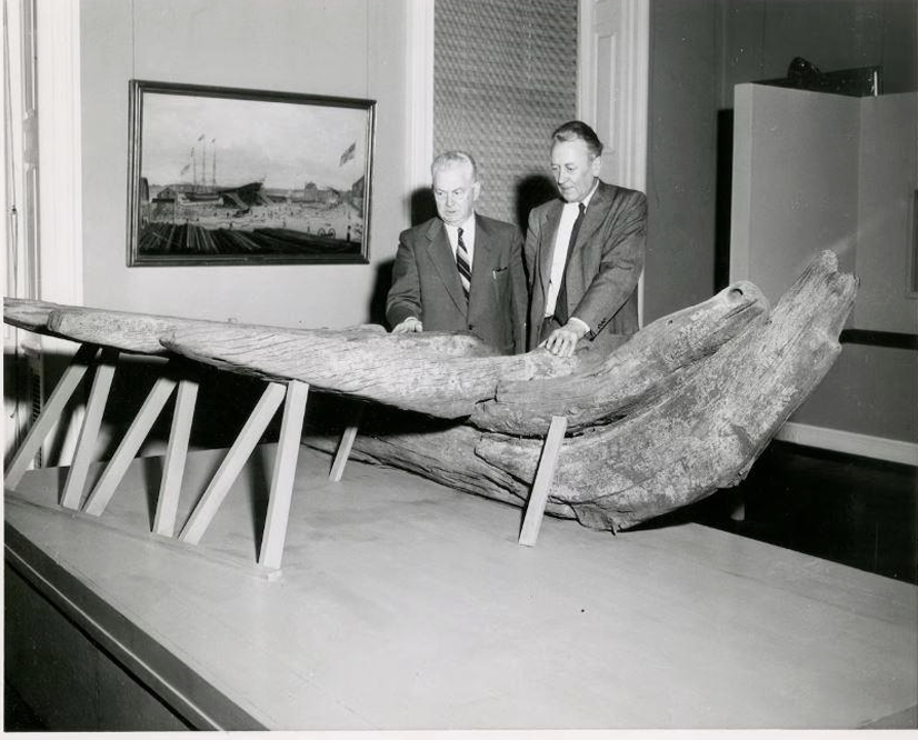 The Ship Beneath Ground Zero: Unlocking the Mystery of the Tyger