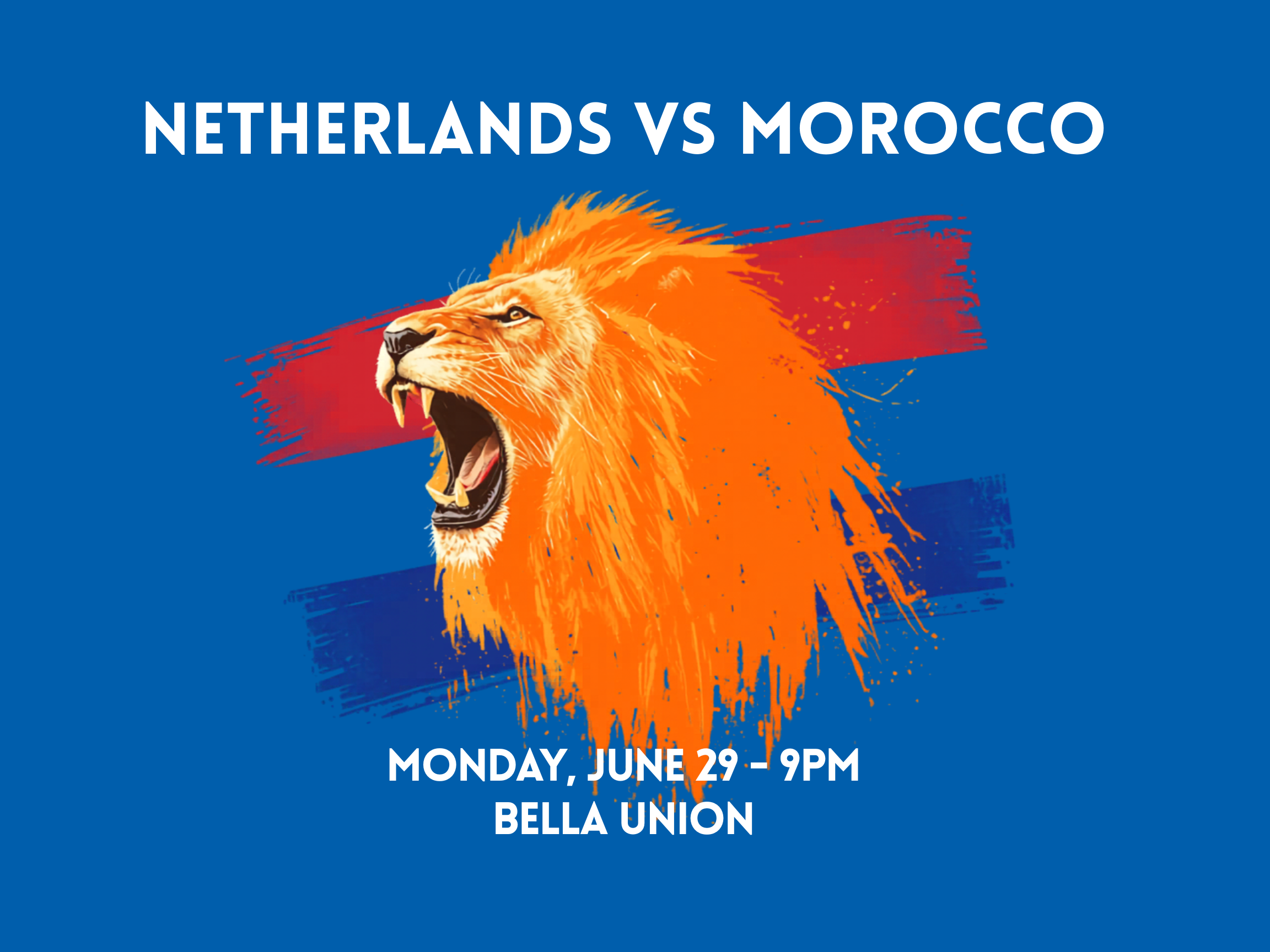 Watch Party: Netherlands vs Morocco