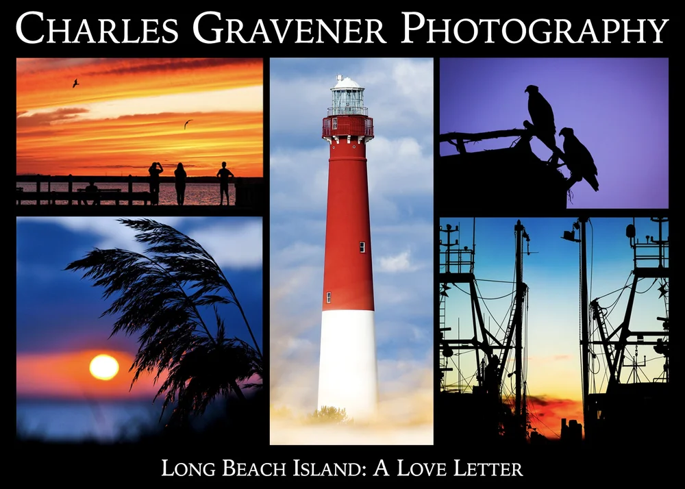 Charles Gravener Photography Wedding and Family Portrait Photographer