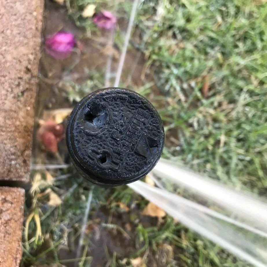 Smart irrigation for healthy lawns