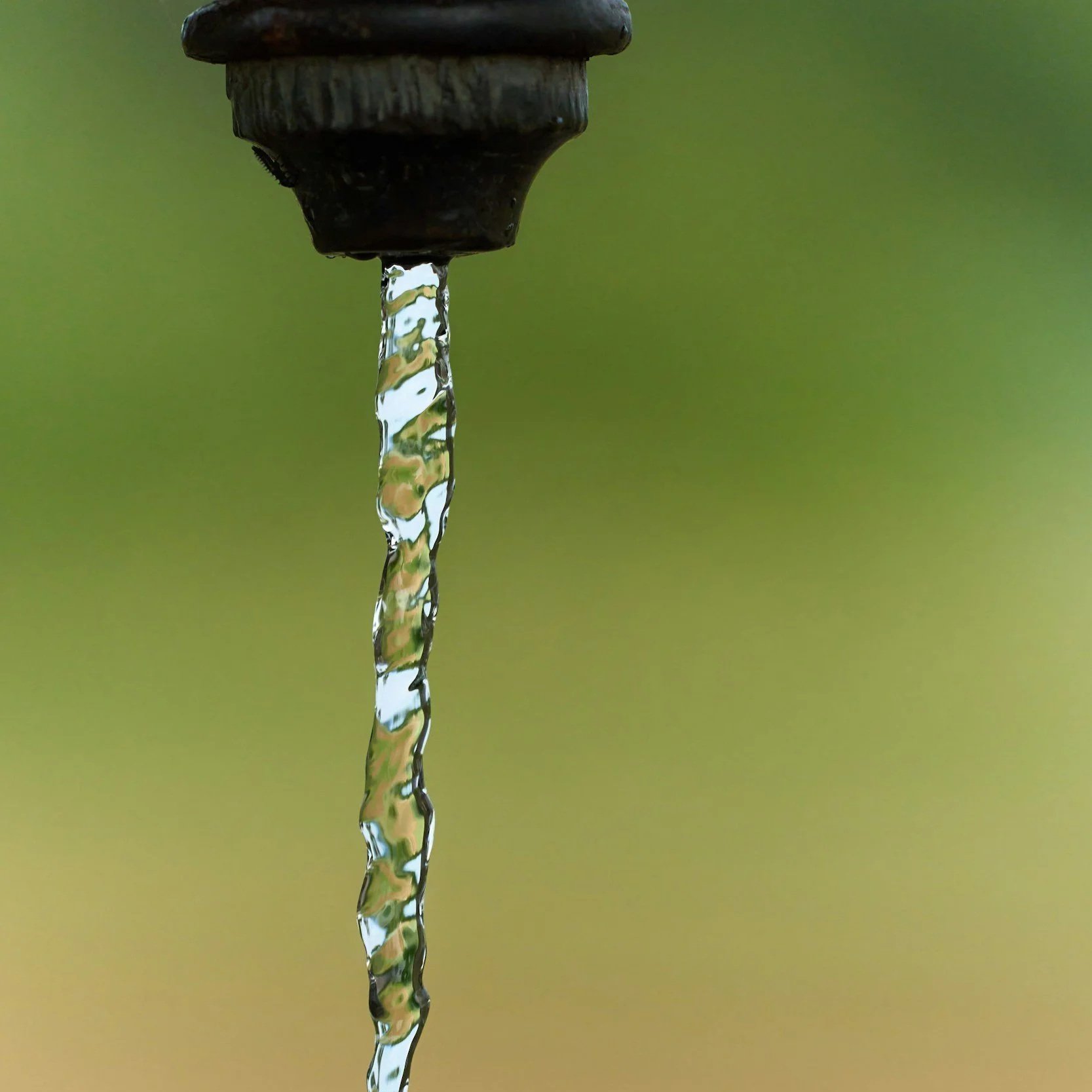 Maximize water savings with drip systems