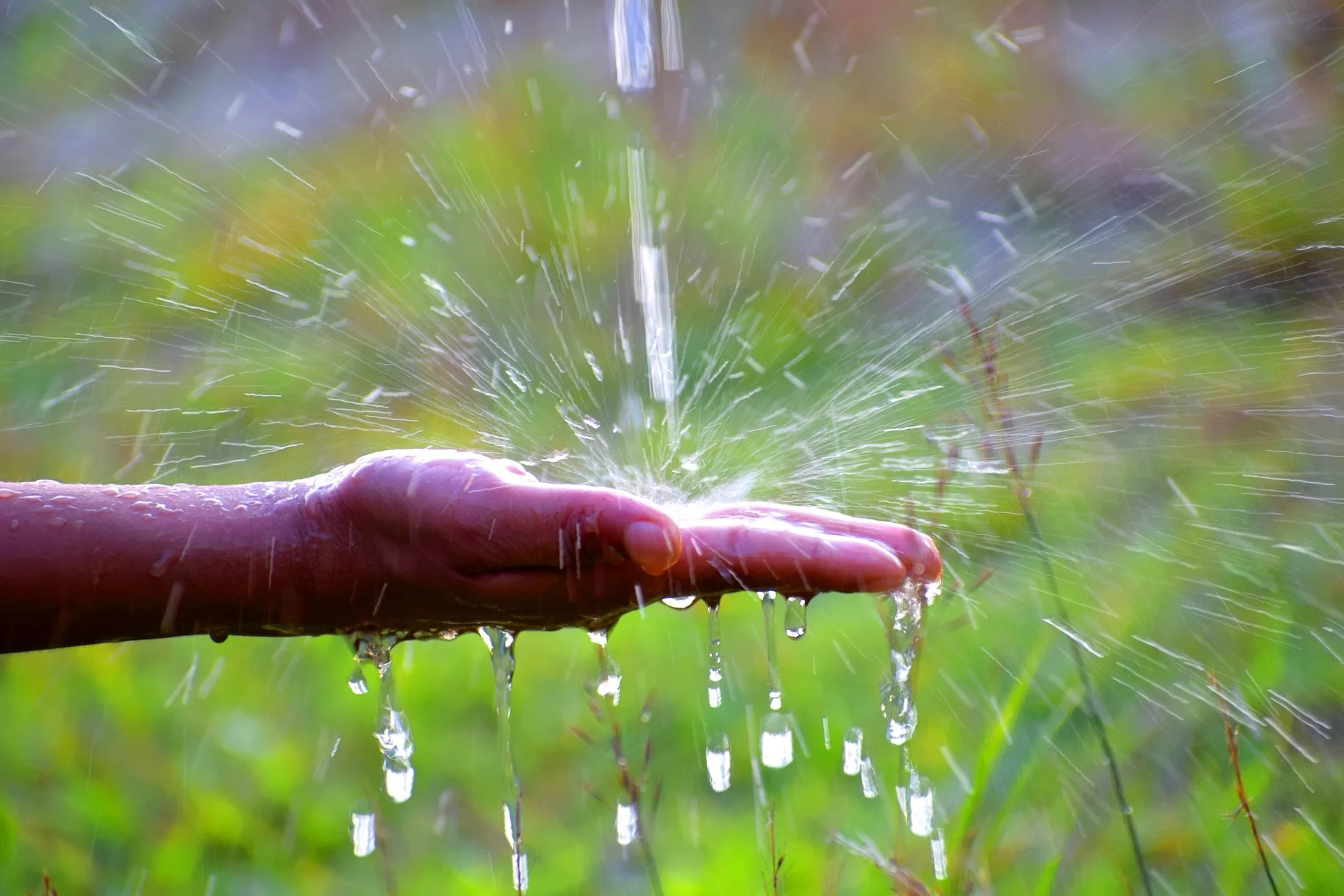 Water-Smart Lawn During Drought