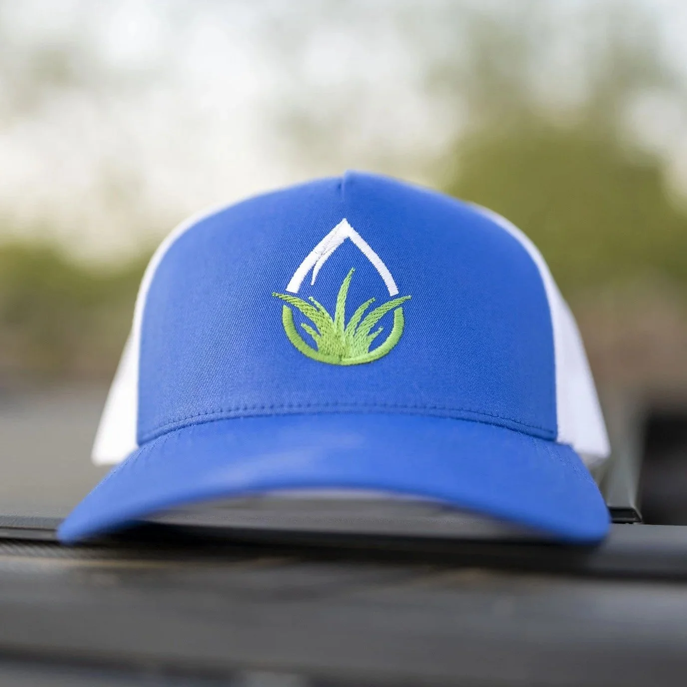Automated sprinkler watering solutions