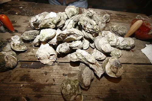 oyster-roast.jpg