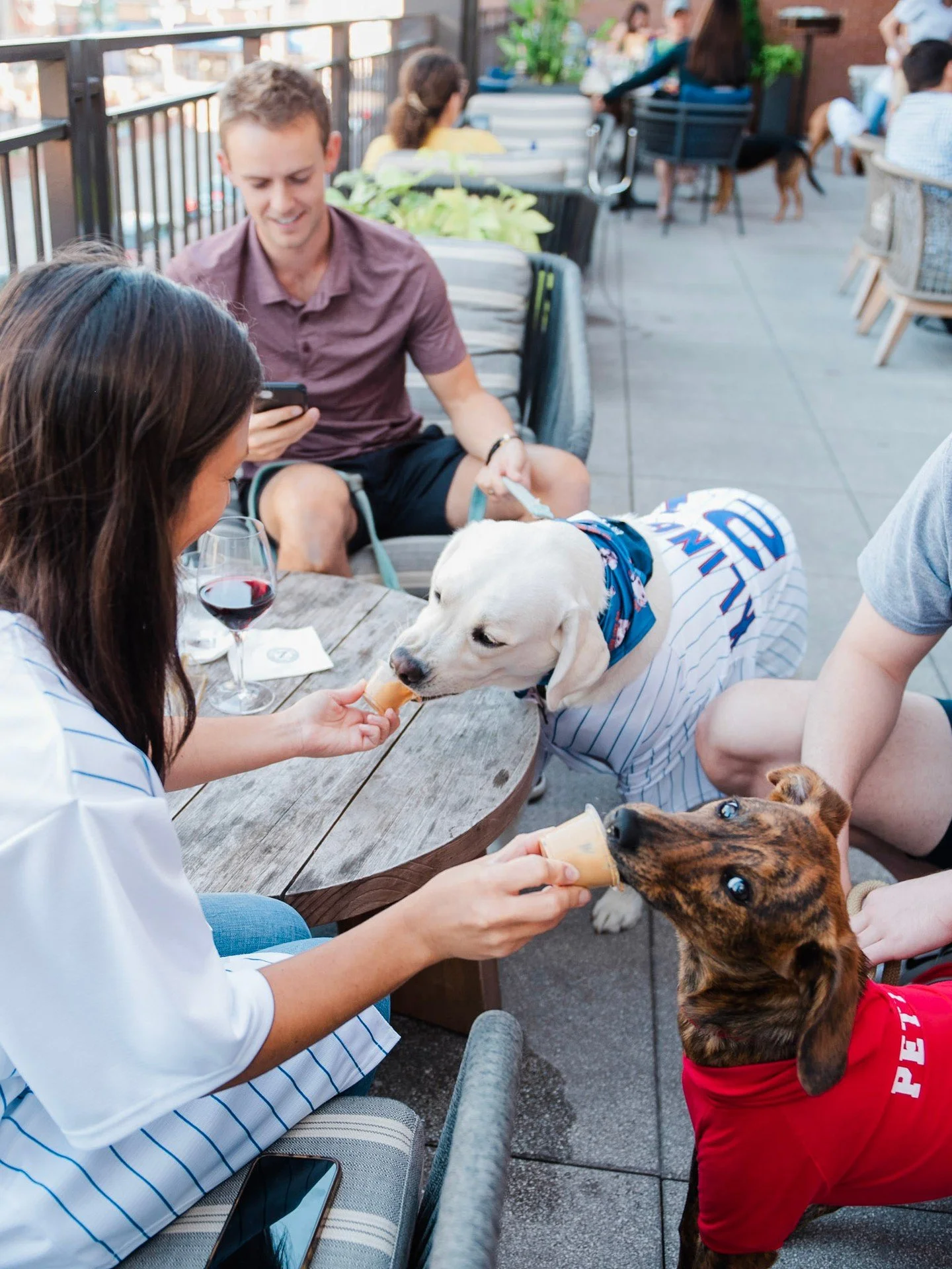 A round for you, a little attention for them. Yappy Hour is your excuse to bring your favorite four-legged company to Alma. From 4-6 p.m., join us for $12 cocktails, $10 wine + bubbly, and $5 beers on the patio.