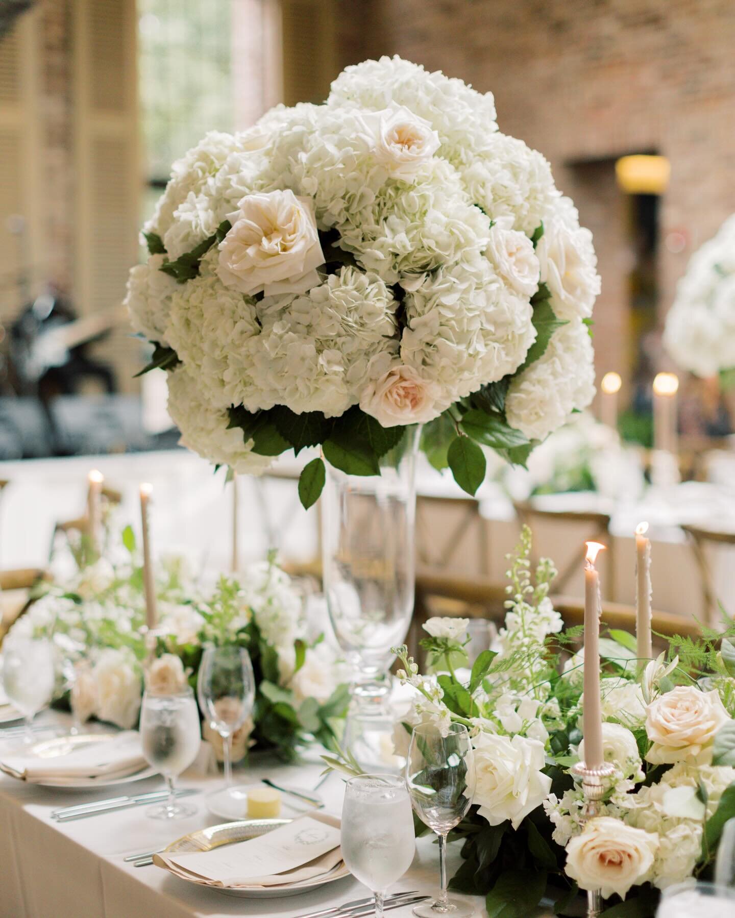 The always timeless and always lovely hydrangea arrangement. 🤍

@_samanthacmoore 
@shellyfortuneevents 
@apiaryfinecatering 

#weddingflowers #receptiondetails #wedding #hydrangea #centerpiece #weddingplanning #floraldesign #floral #floraldesigner #