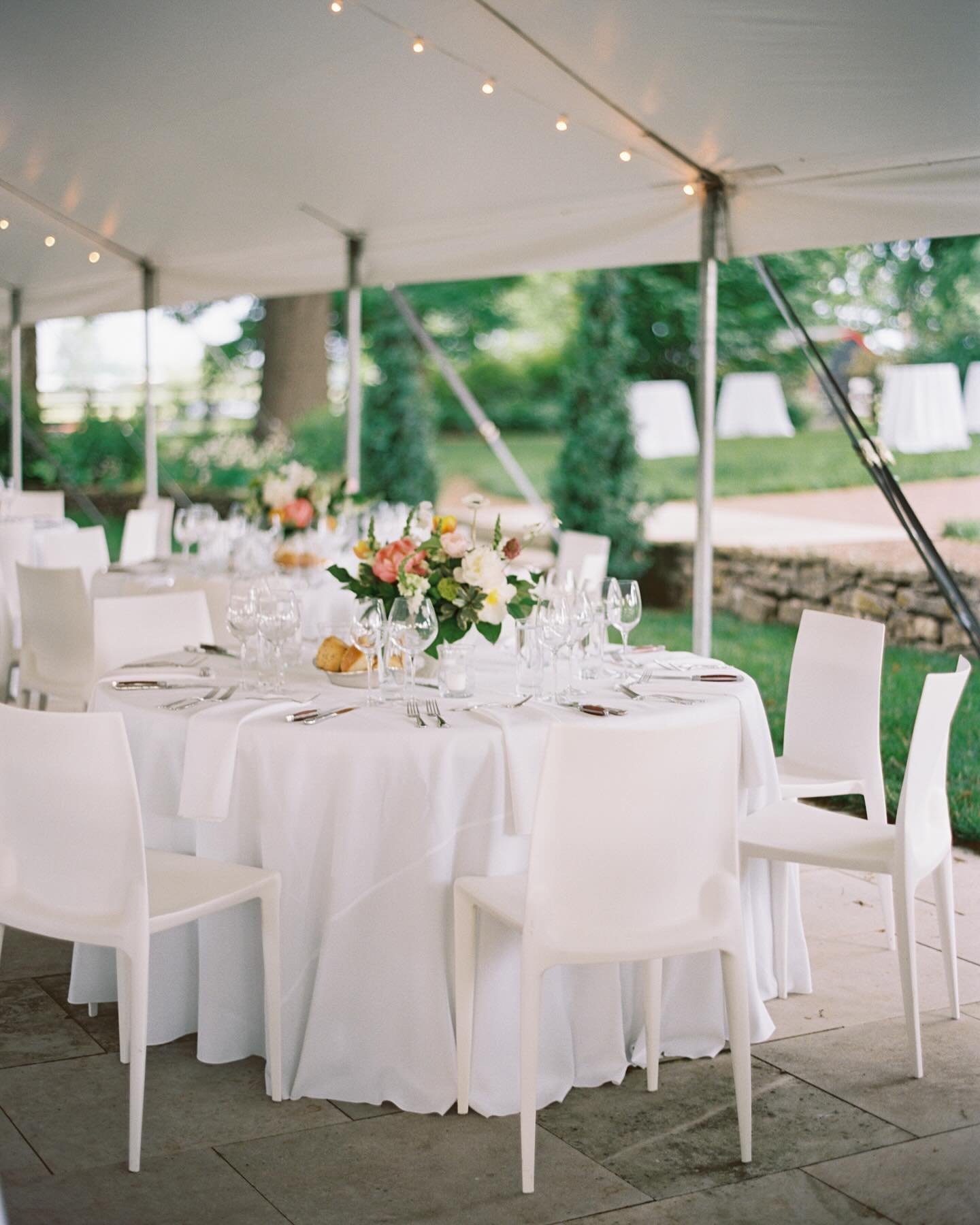 Peonies for the win! 🏆 Crisp and clean with pops of color for this lovely garden party reception.

Photo: @tracyburchphotography 

#weddingreception #weddingflowers #floraldesign #peony #weddingideas #floraldesigner #kentuckywedding #mykentuckybride