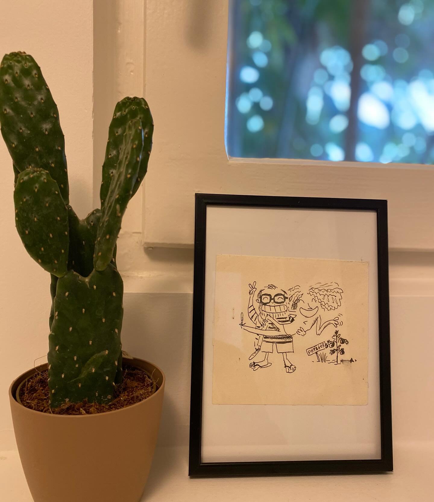 Le joli dessin de @alain.pichlak enfin encadr&eacute; &agrave; la Villa #merci #mypotager #crazygarden