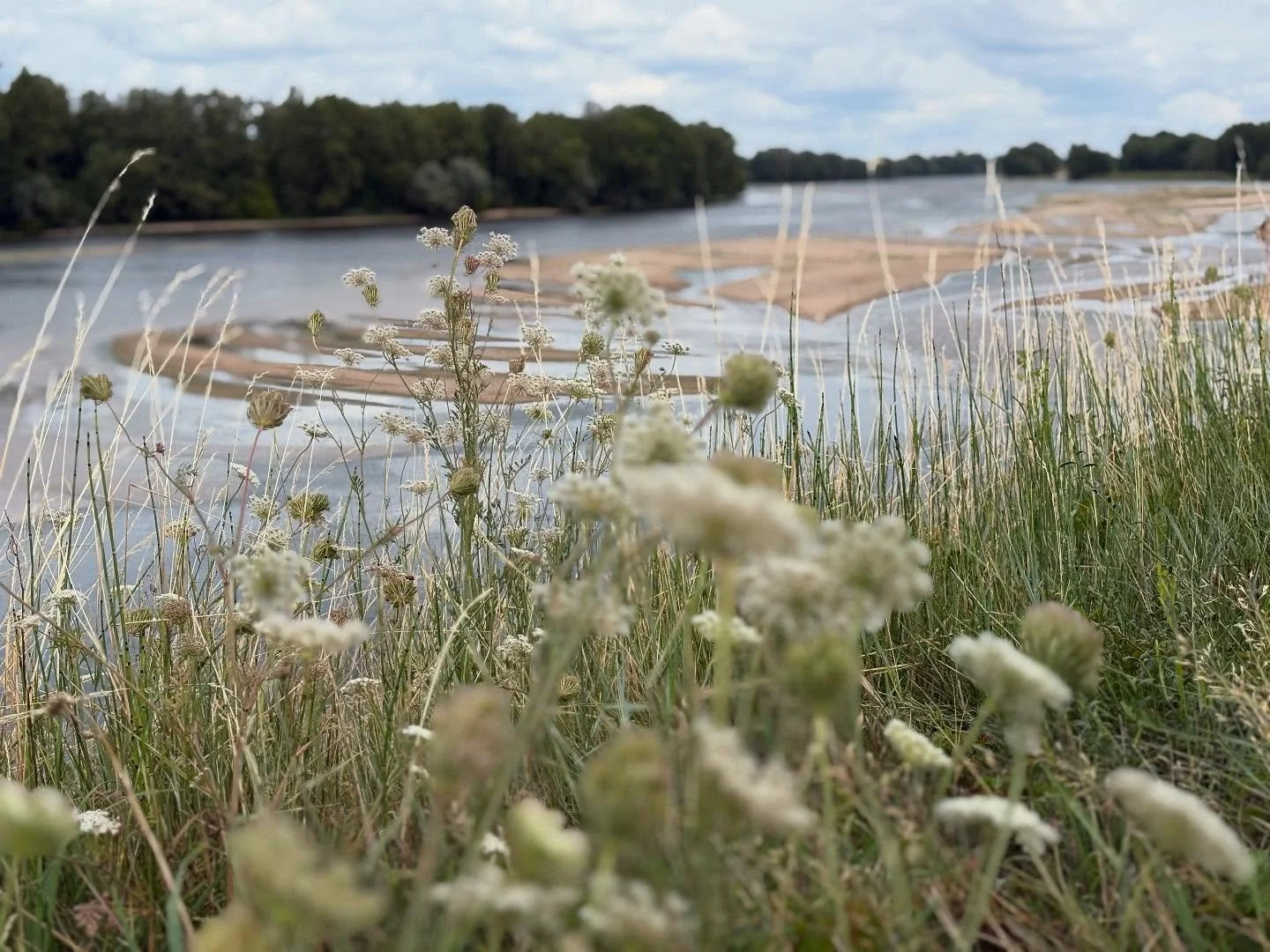 Bords de Loire #l&rsquo;&eacute;t&eacute;&agrave;lavilla