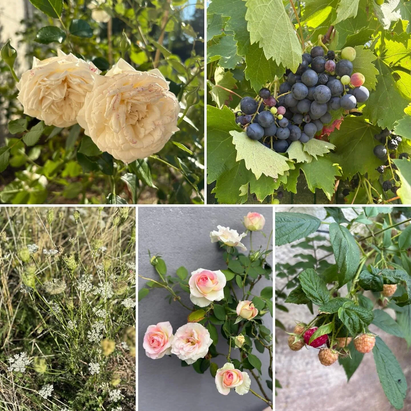 L&rsquo;&eacute;t&eacute; en douceur &agrave; la Villa