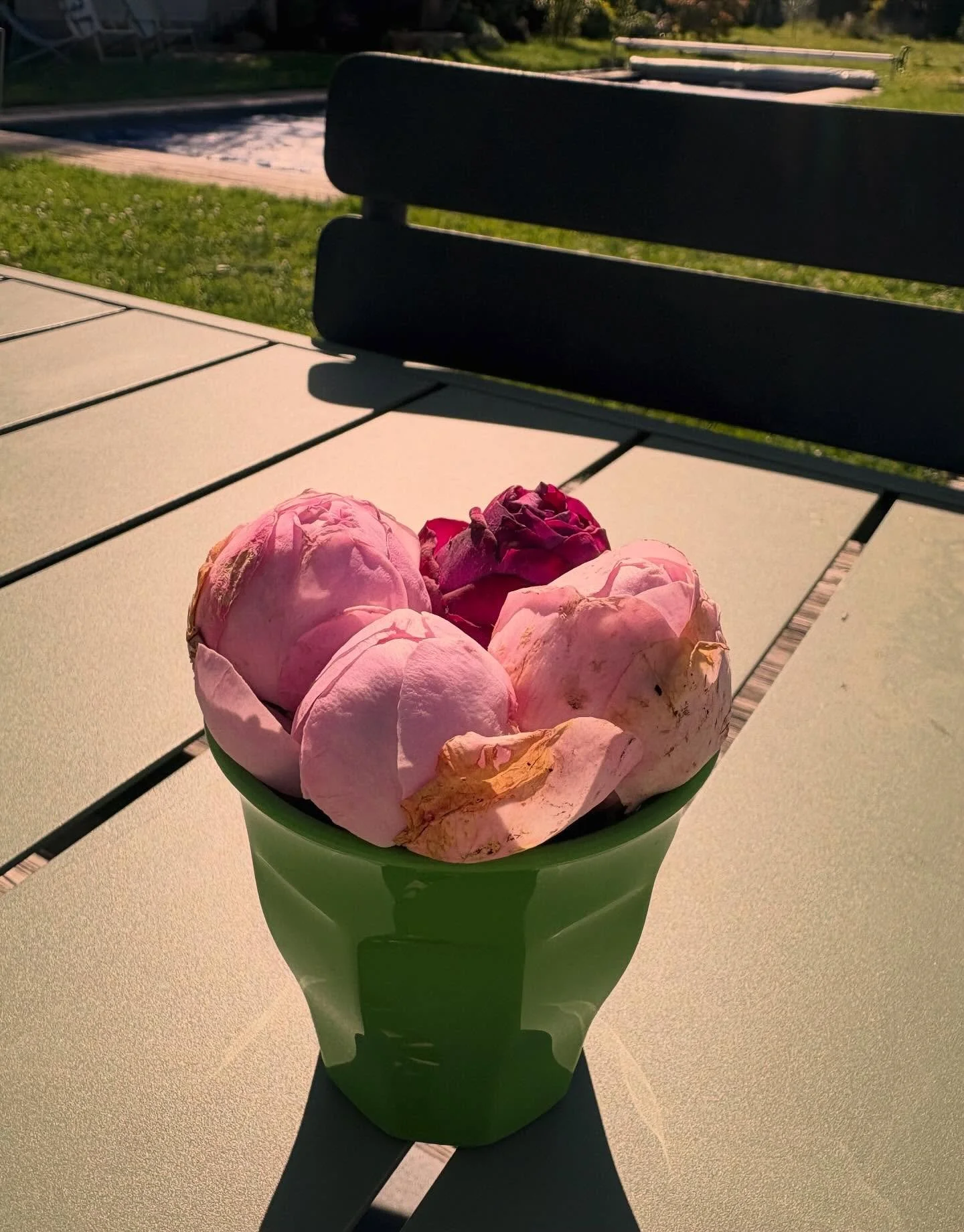 Profiter du soleil d&rsquo;automne &agrave; la Villa #welcomeautumn #newrosescoming