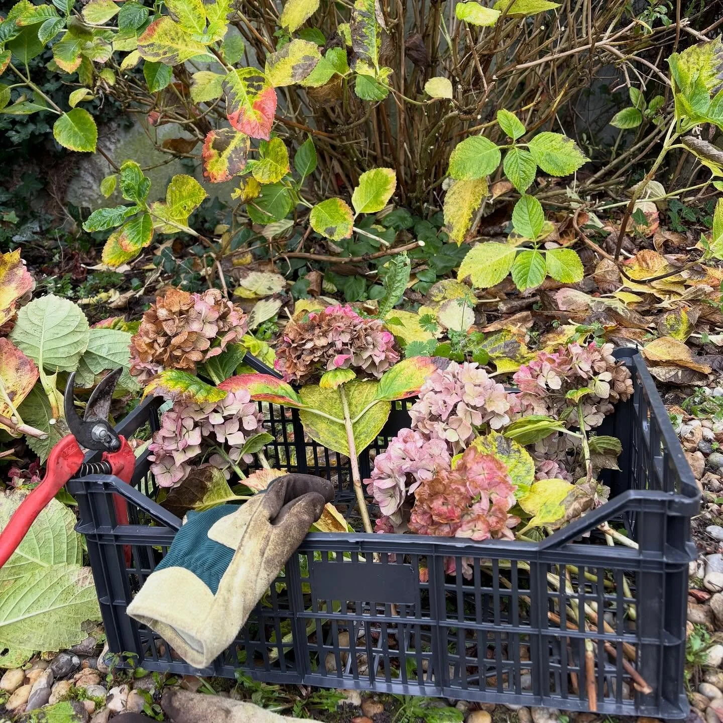 Activit&eacute; d&rsquo;automne &agrave; la Villa #greenweekend