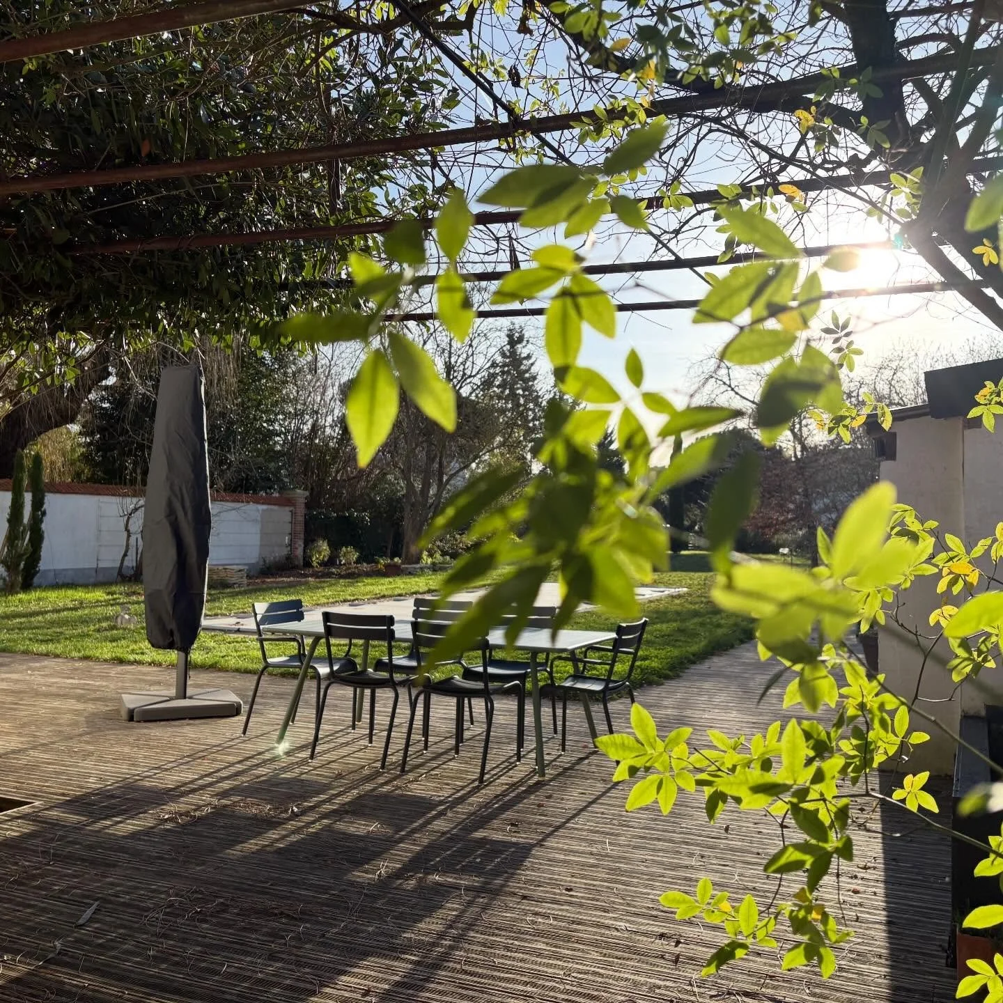 La Villa en hiver #sogeeen #greenisthenewblack #jardindhiver #soleildhiver