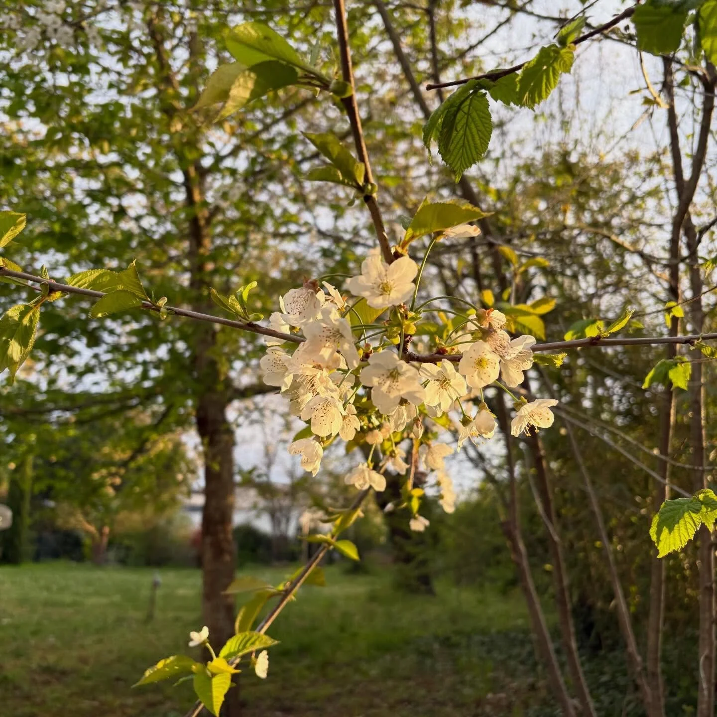 Bonne fin de week-end &agrave; la Villa