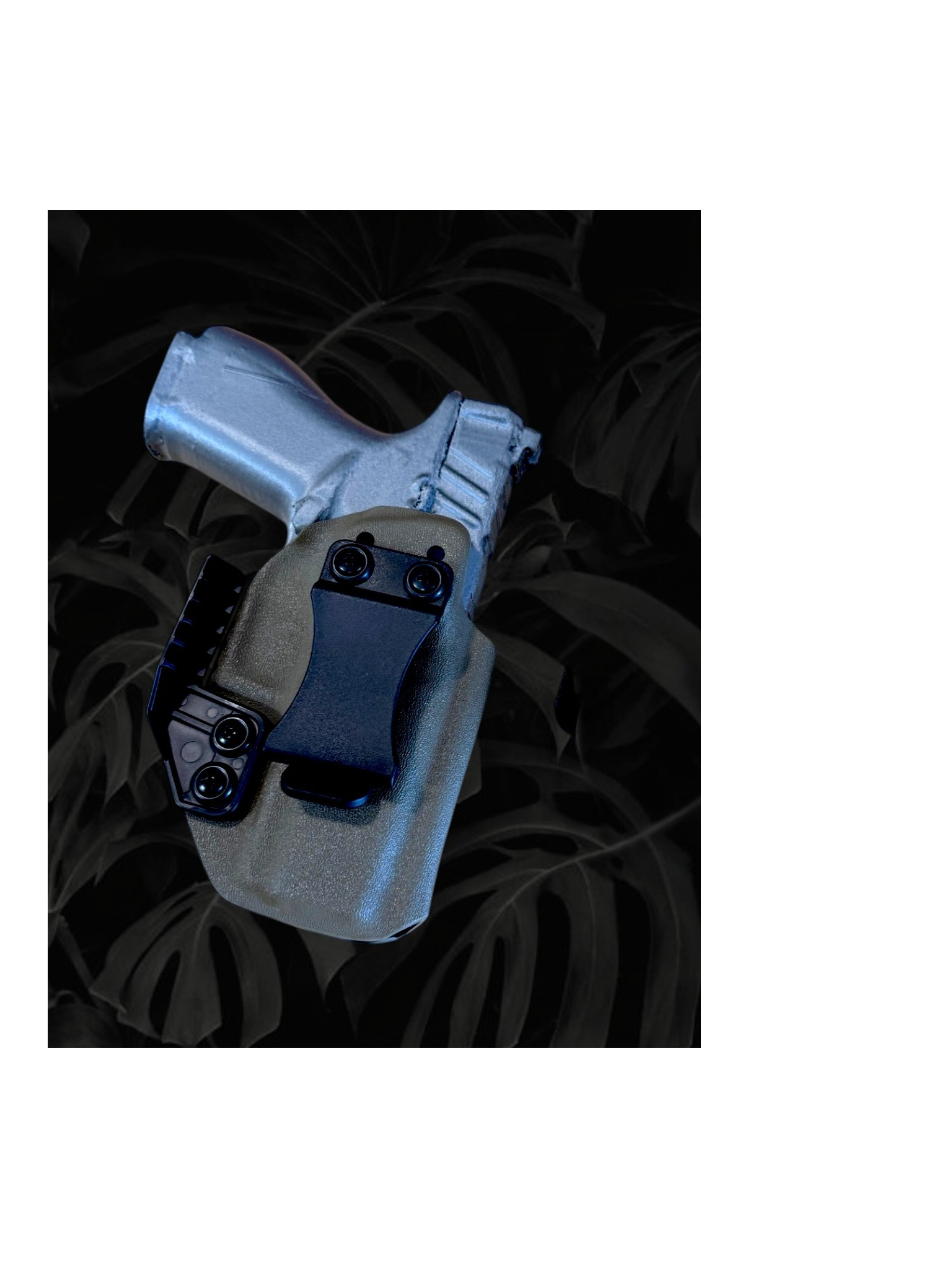 Springfield IWB Holster