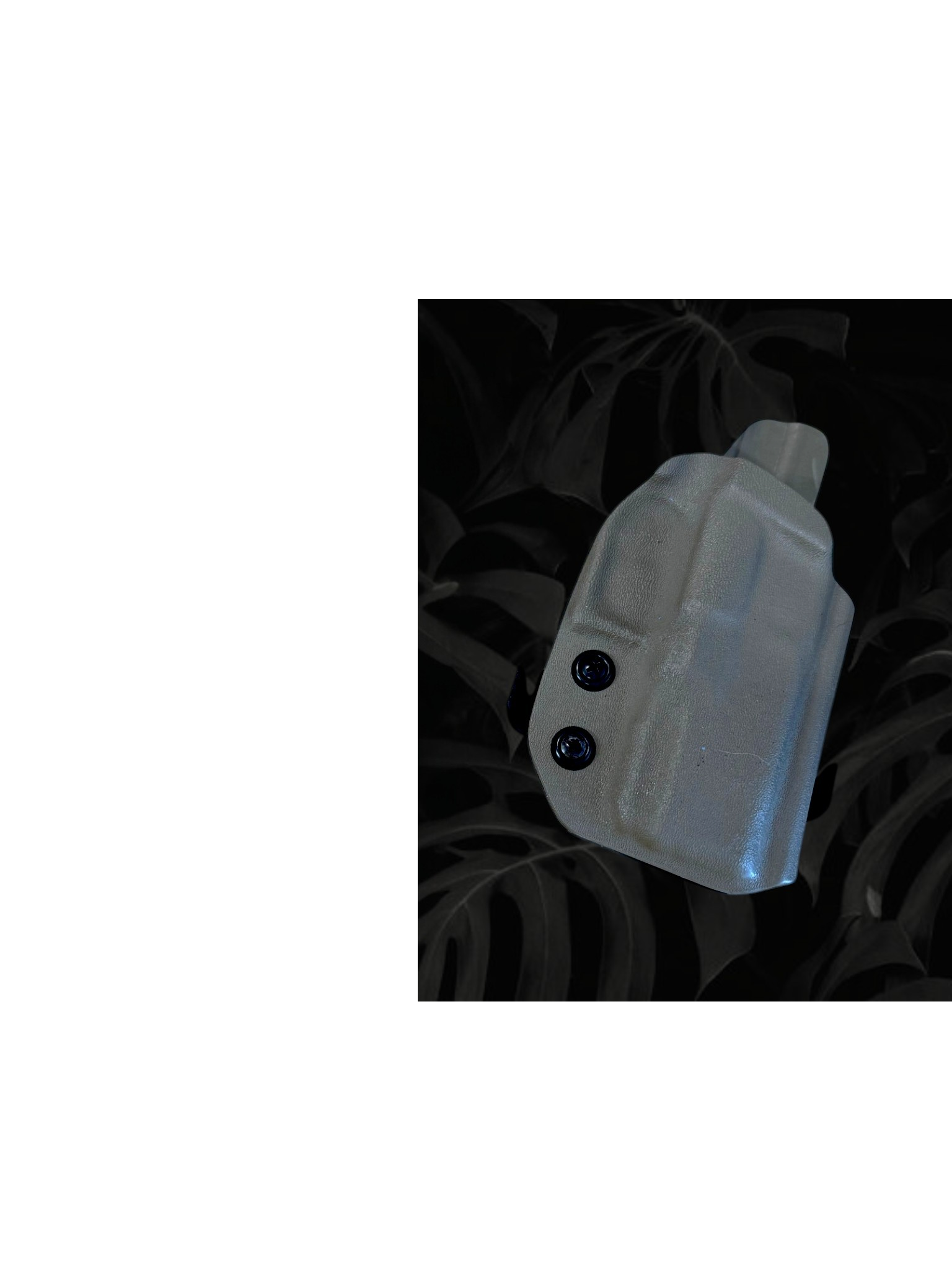 IMG_8558a.png