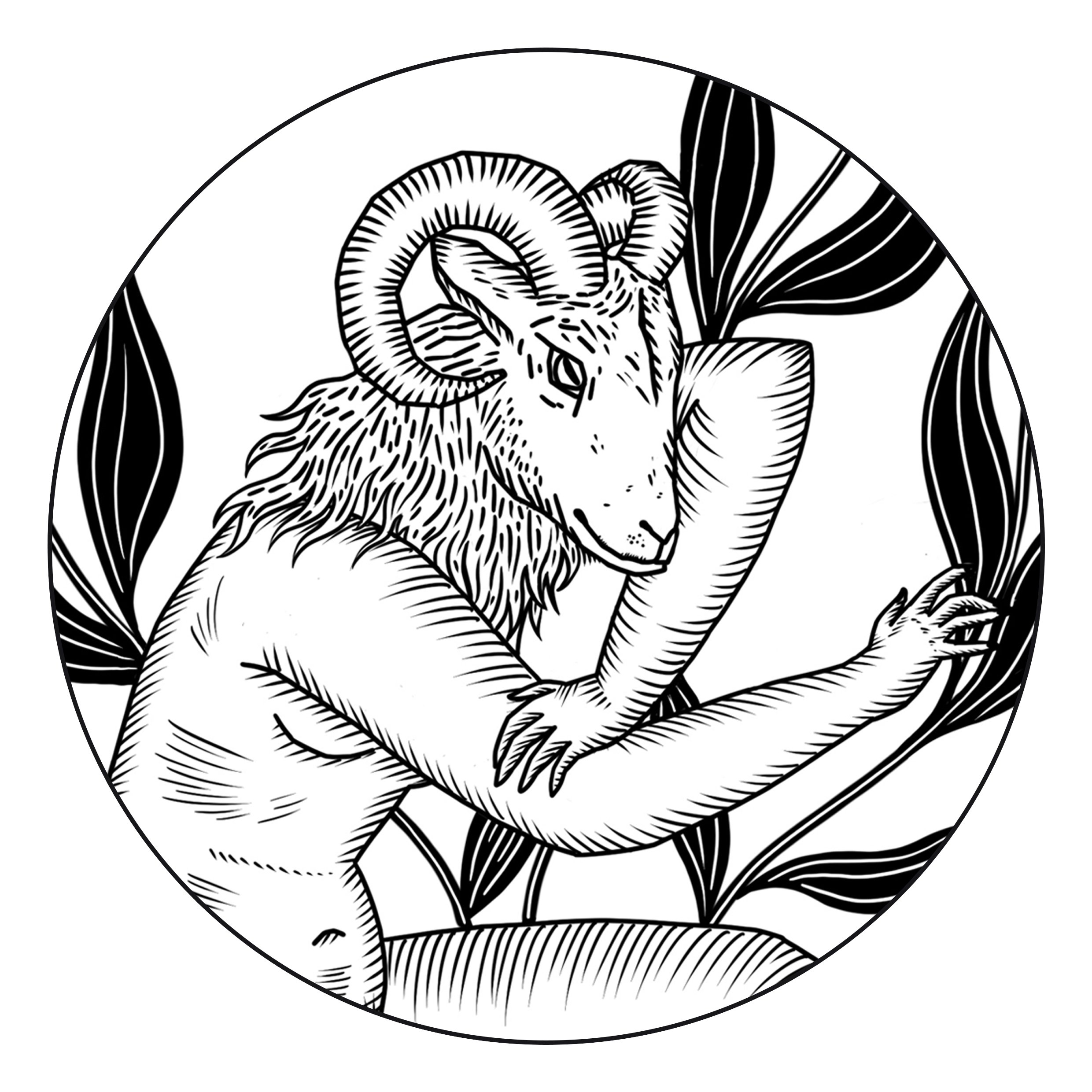 PinkMoonLogoSocialCircleClose.jpg