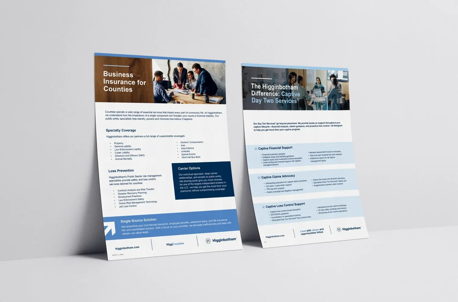 Marketing & Educational Flyers