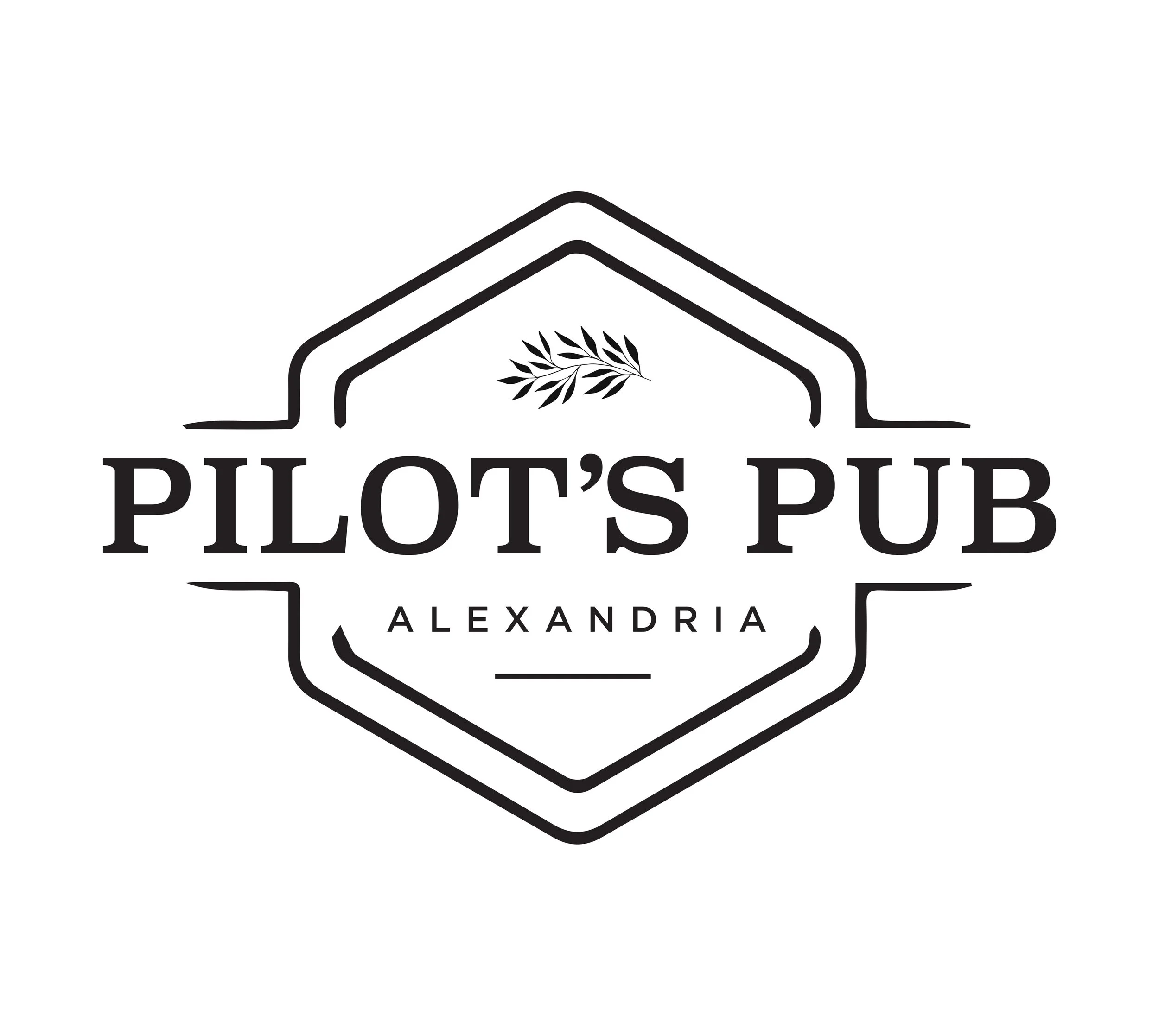 Pilot.jpg