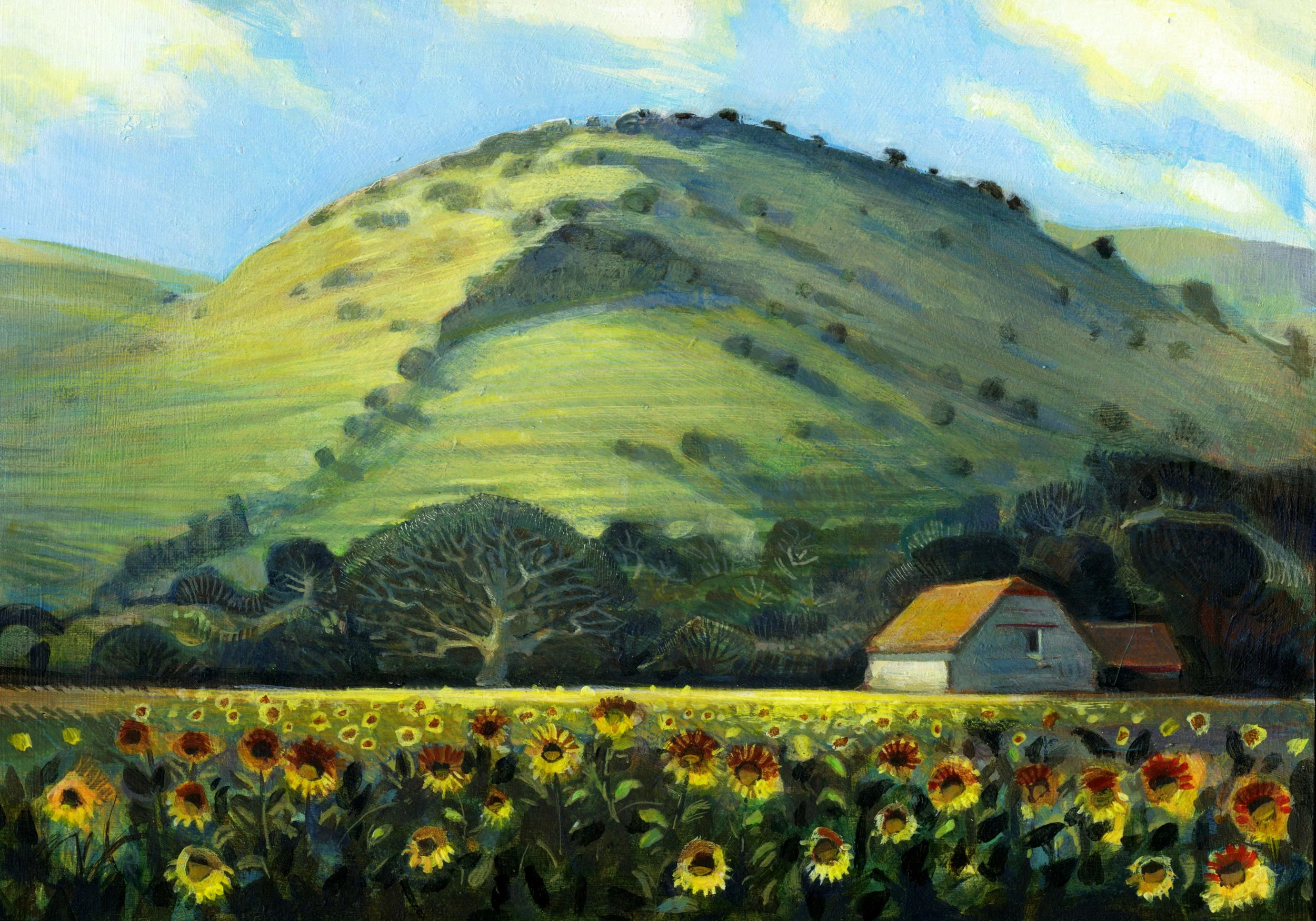 Sunflower Field.jpg