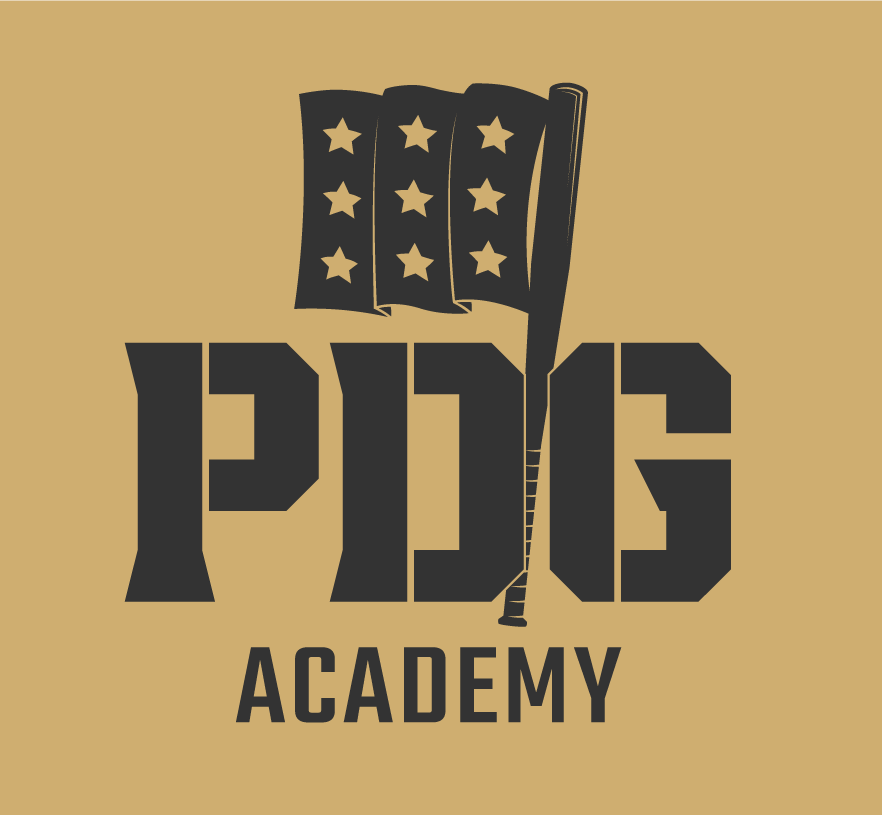 Blog 3 — PDG Academy