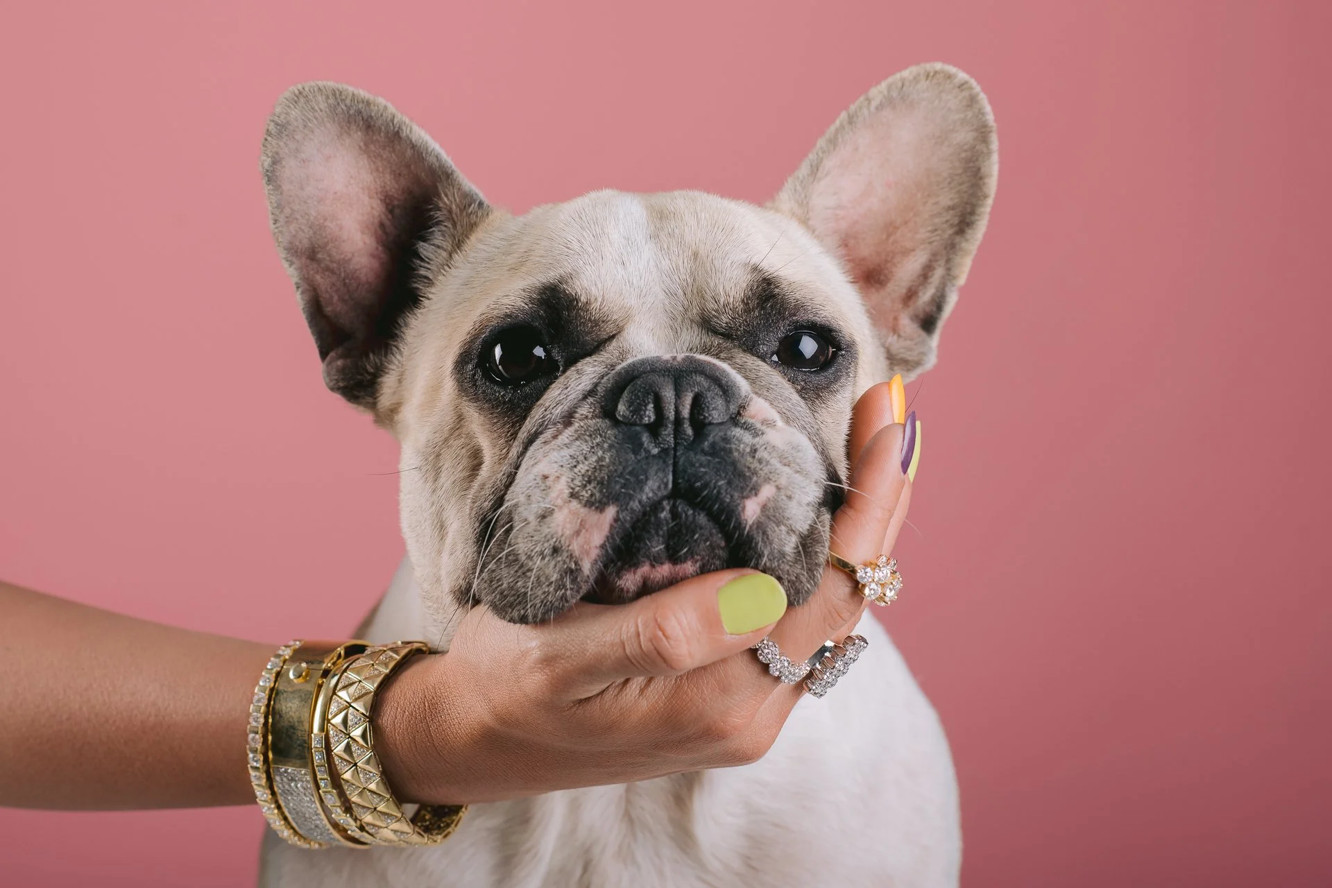 Doggo Salma Lotfy-6.jpg