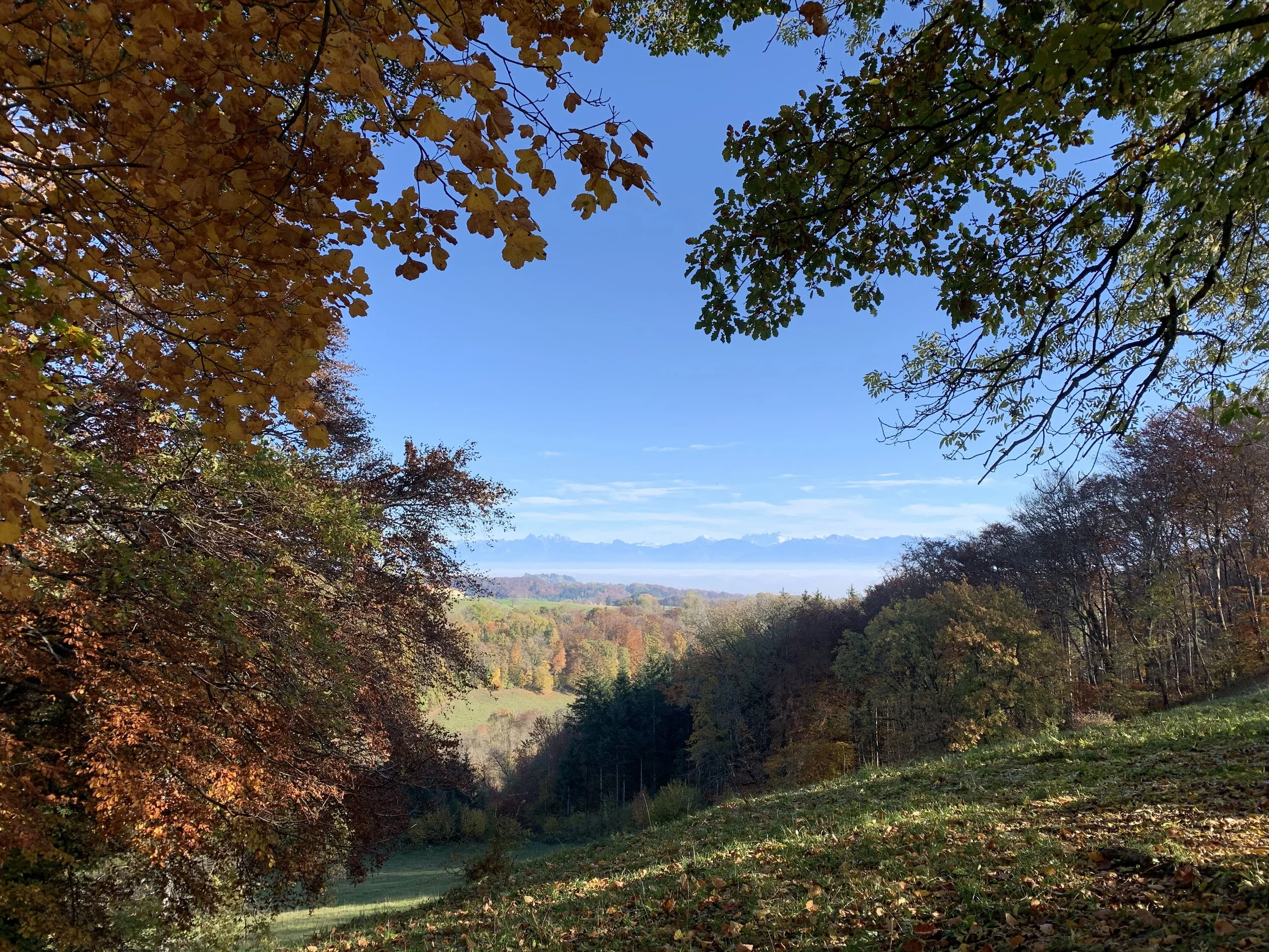 Autumnal view over Lac Leman