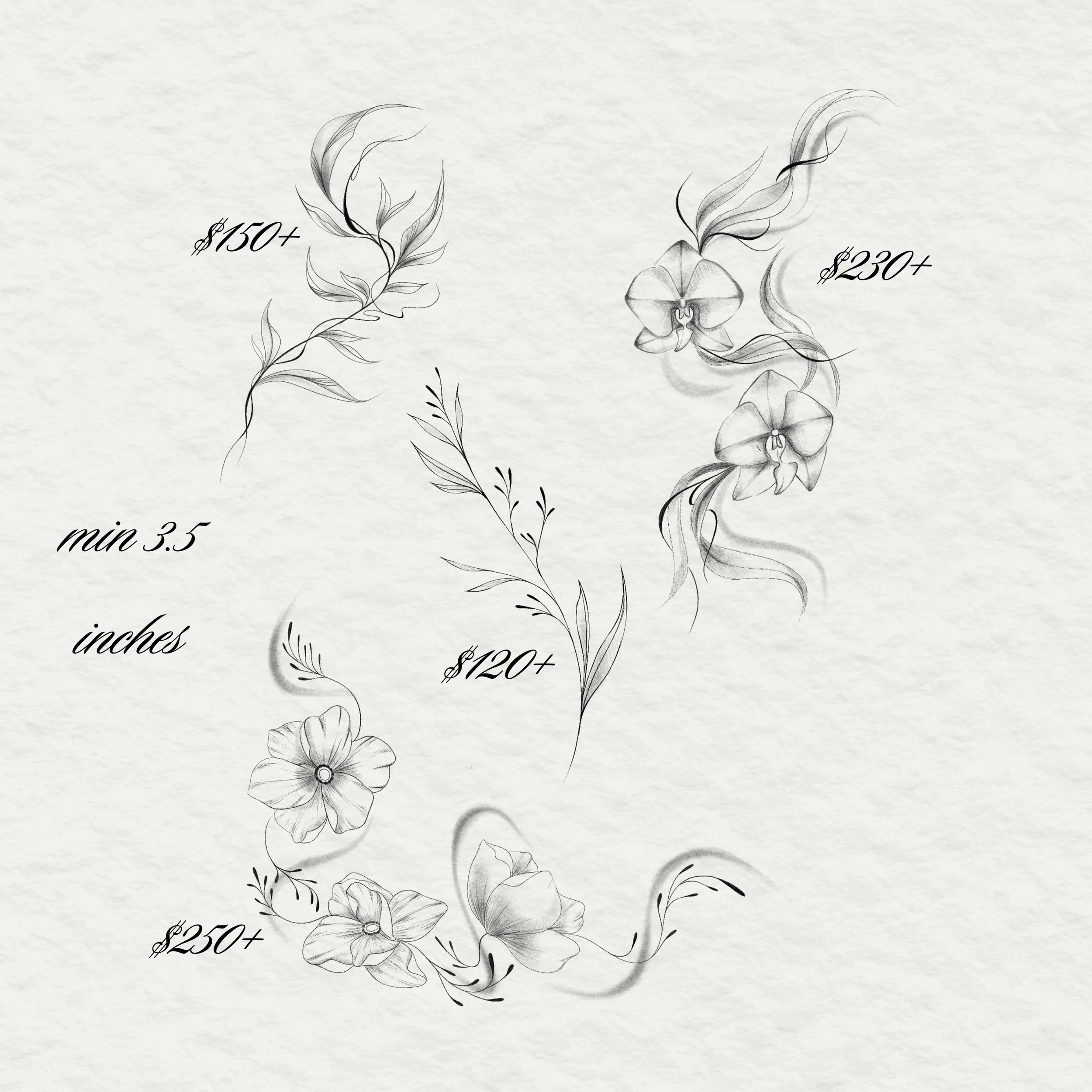 Decorative tattoo sketch of flowers and leaves with pricing information, including prices over $150, $230, $250, and below $35.  Tattoo flash sheet in Toronto.