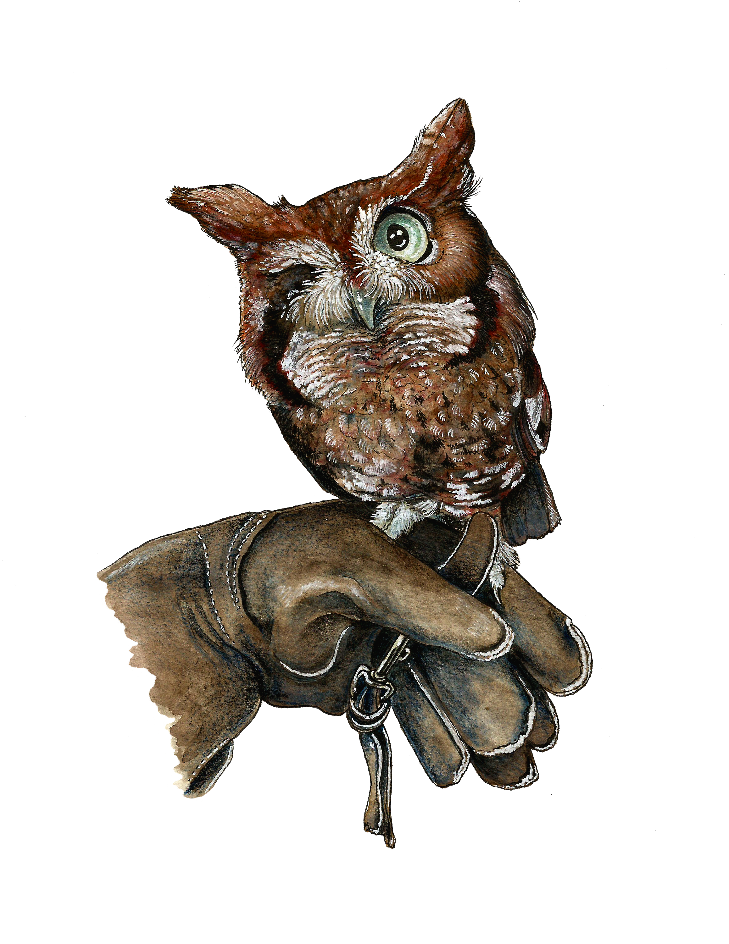 owlivia sticker.png
